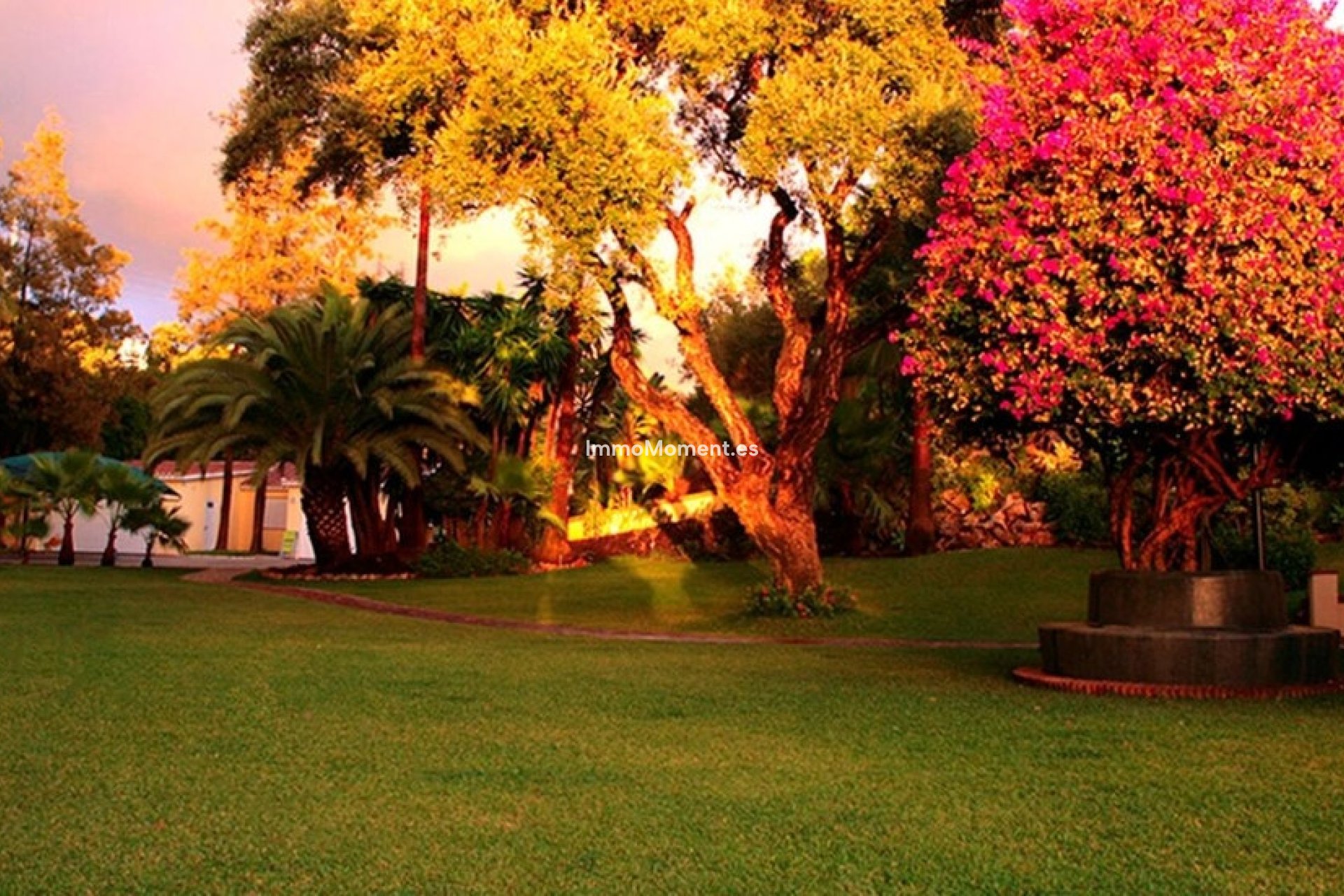 Revente - Villa individuelle - Marbella - Elviria