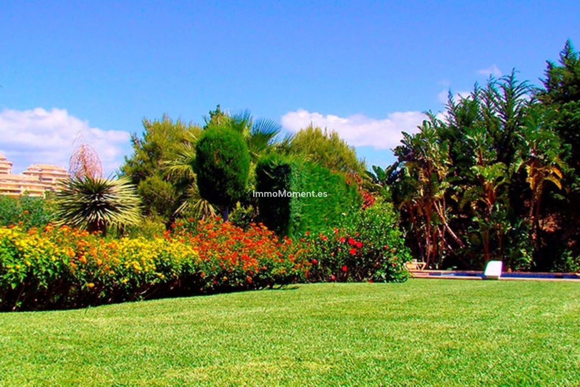Revente - Villa individuelle - Marbella - Elviria