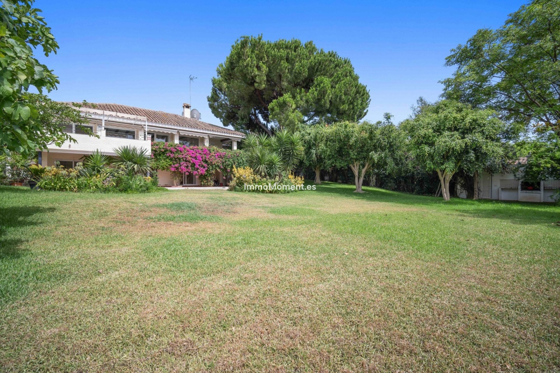 Revente - Villa individuelle - Marbella - Guadalmina Alta