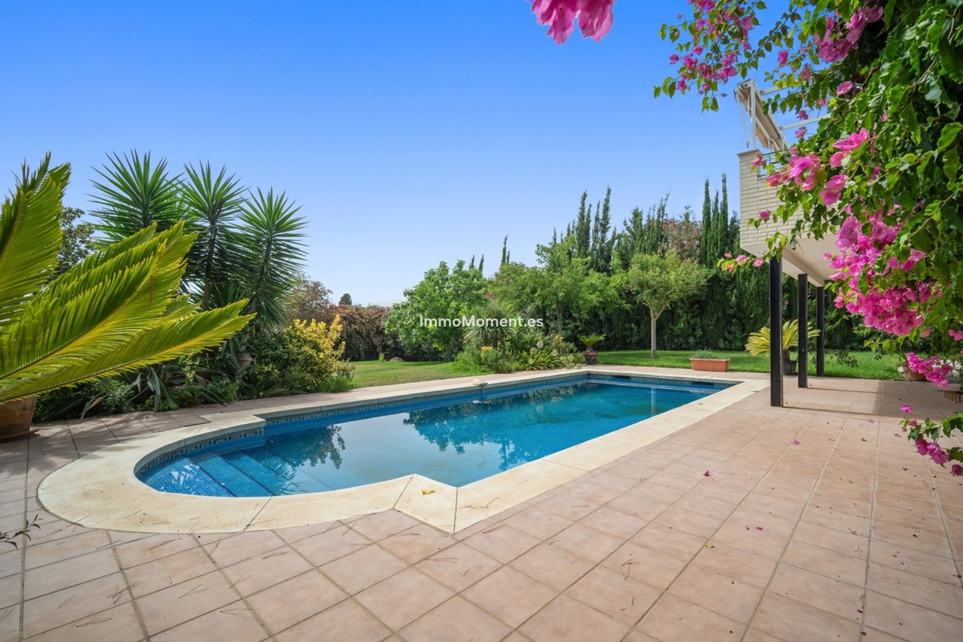 Revente - Villa individuelle - Marbella - Guadalmina Alta