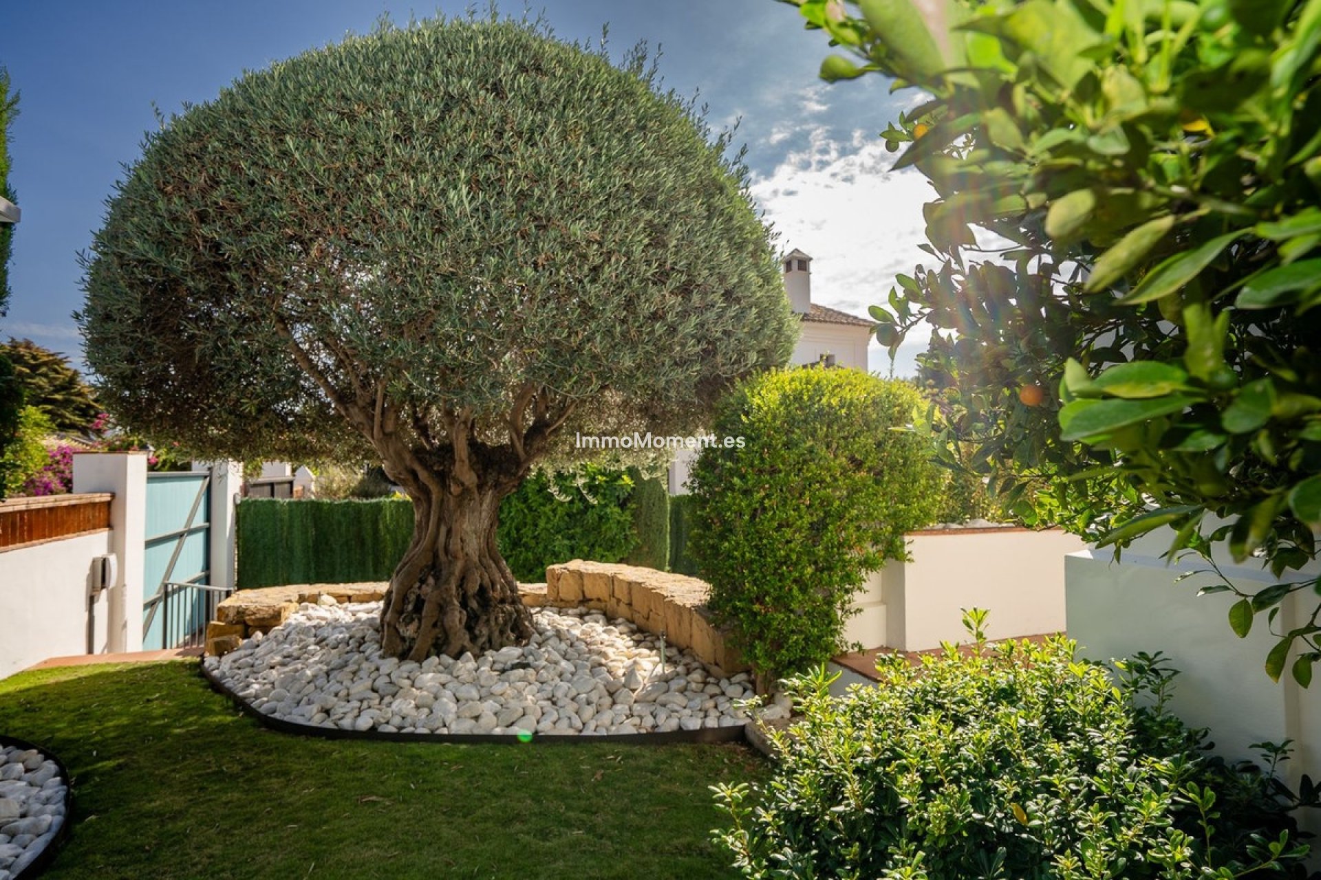 Revente - Villa individuelle - Marbella - Guadalmina Baja