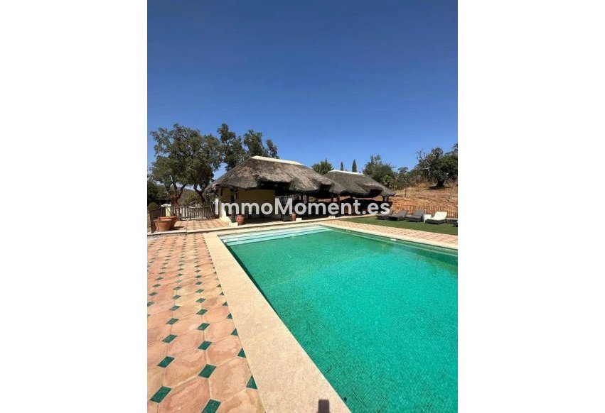 Revente - Villa individuelle - Marbella - La Mairena