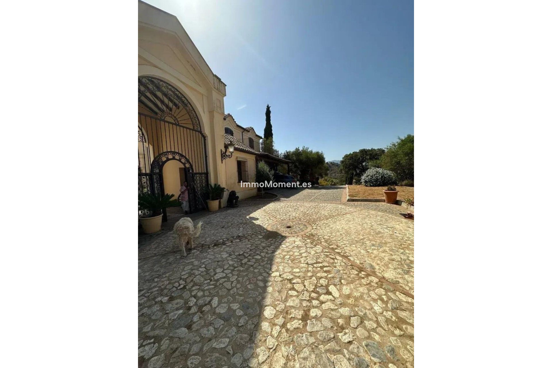 Revente - Villa individuelle - Marbella - La Mairena