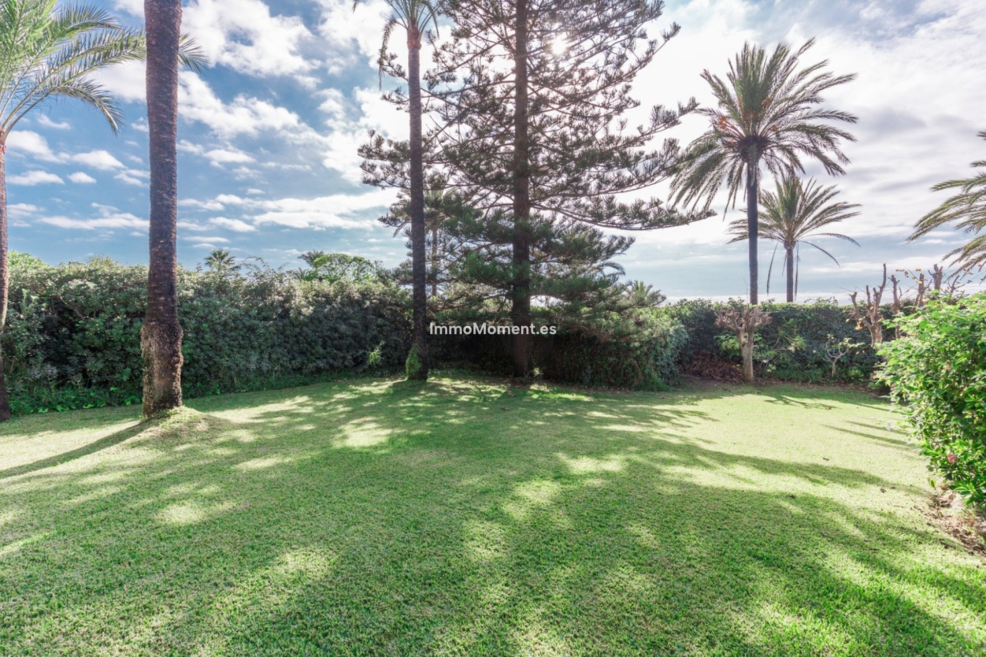 Revente - Villa individuelle - Marbella - Los Monteros