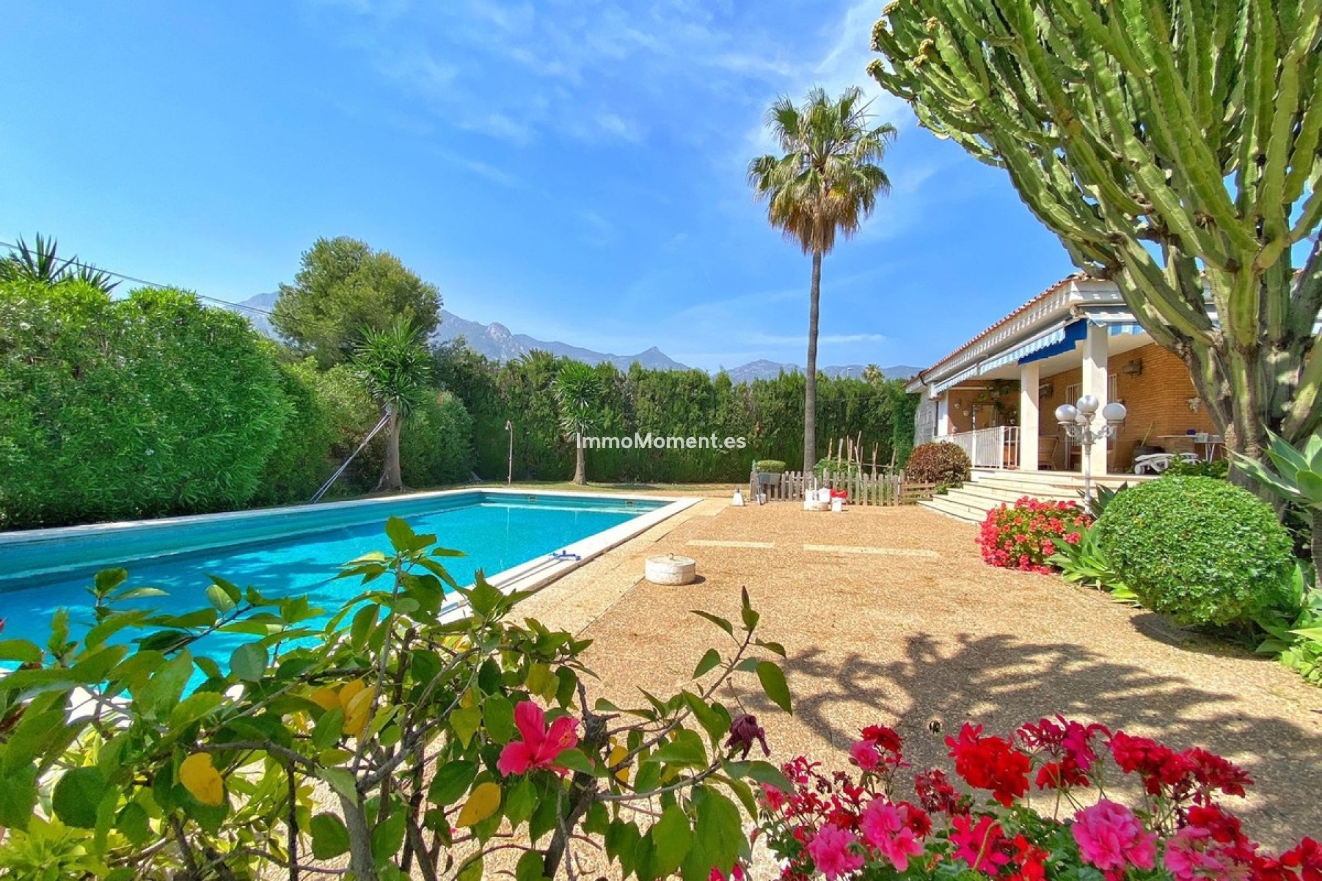 Revente - Villa individuelle - Marbella - Marbella Centro