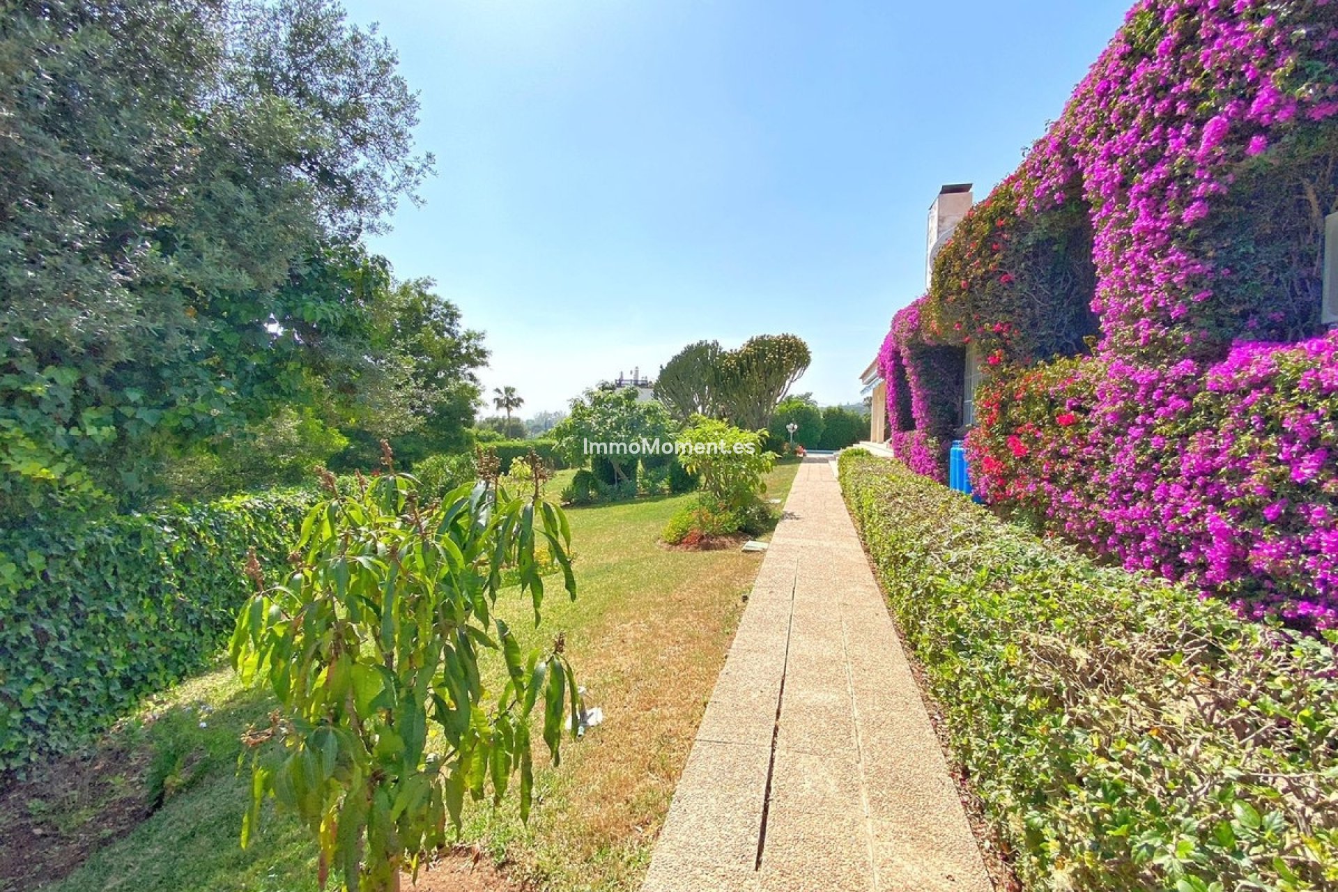 Revente - Villa individuelle - Marbella - Marbella Centro