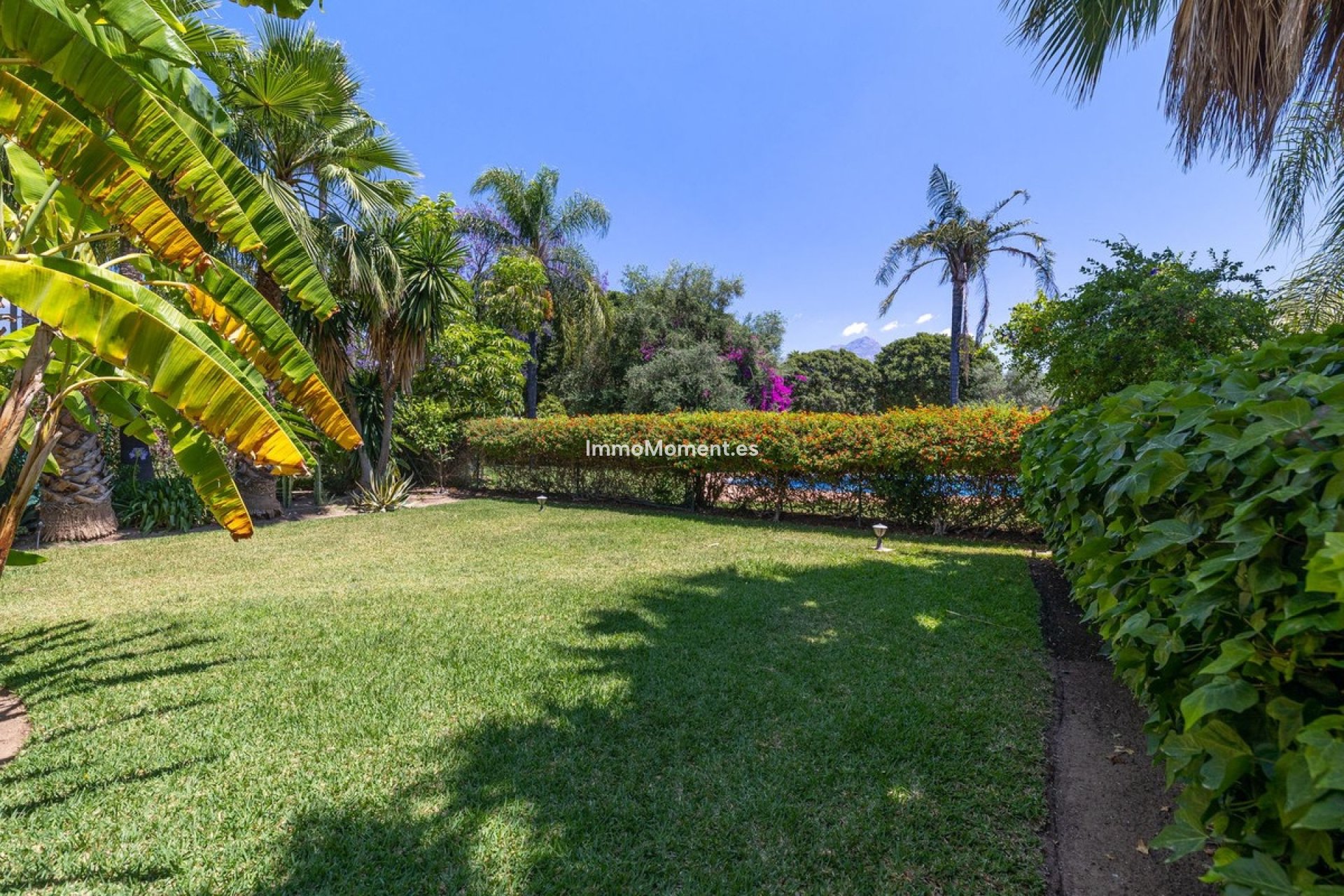 Revente - Villa individuelle - Marbella - Marbella Centro