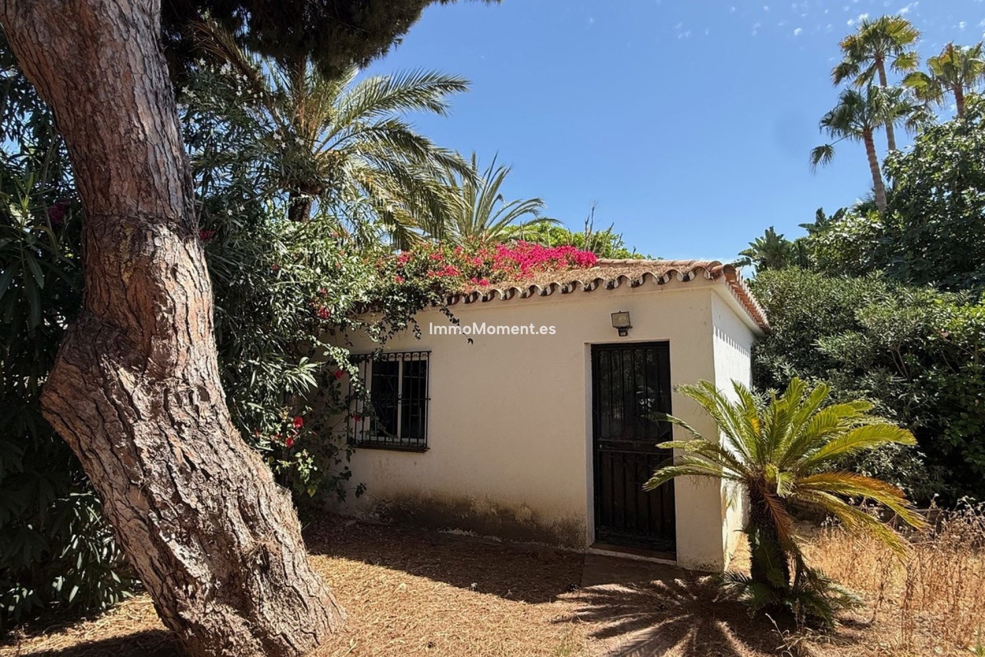 Revente - Villa individuelle - Marbella - Marbesa