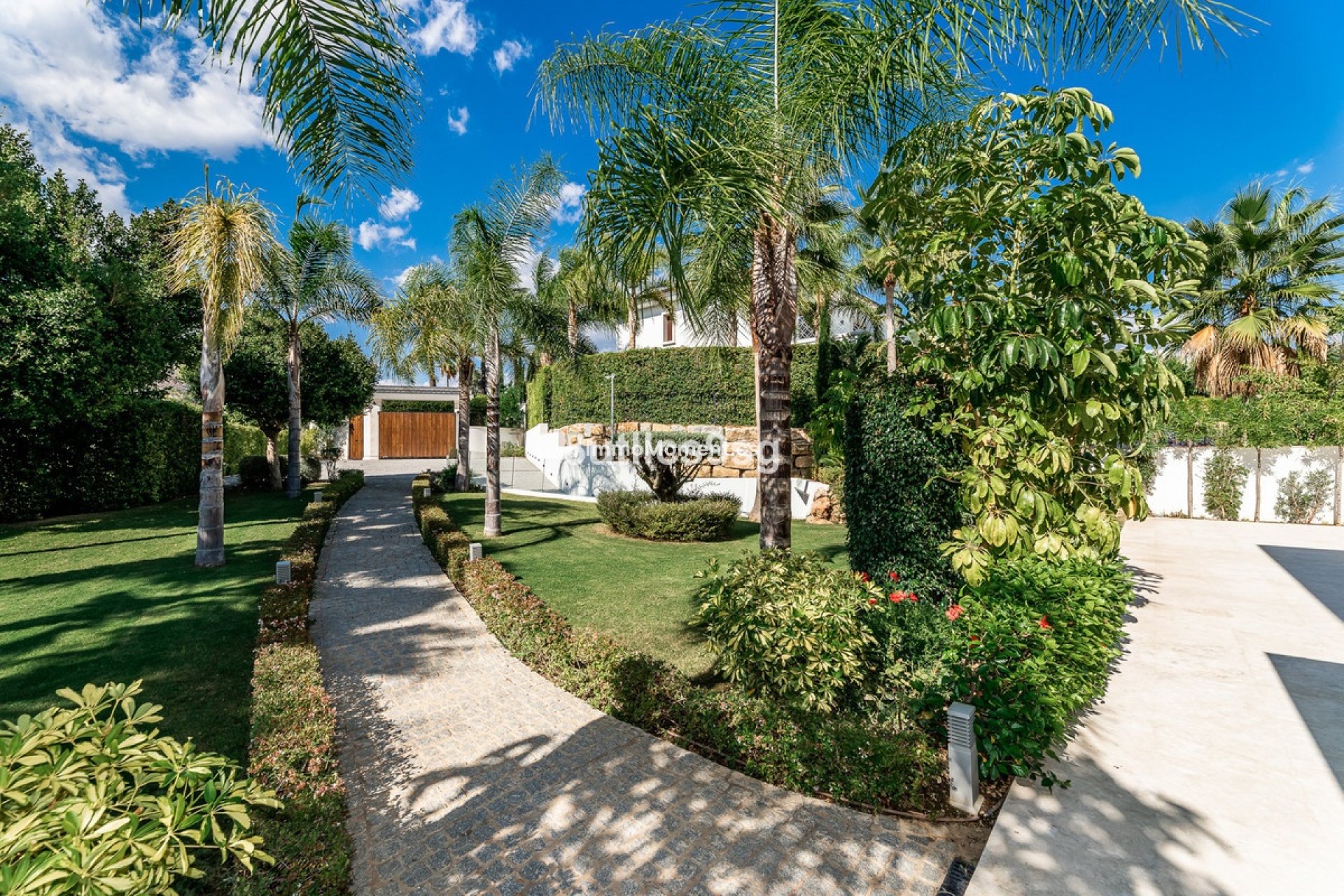 Revente - Villa individuelle - Marbella - Nueva Andalucía