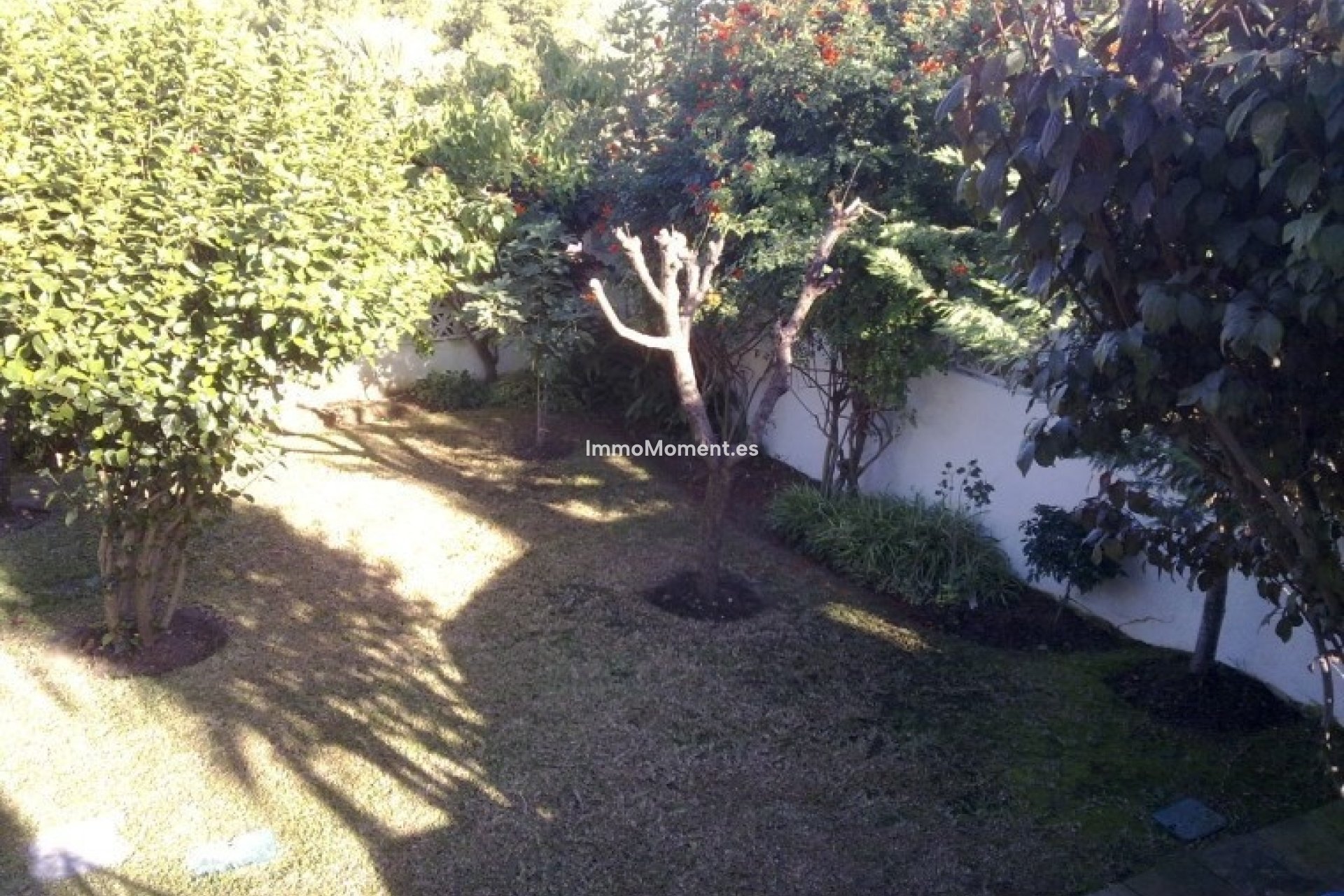 Revente - Villa individuelle - Marbella - Nueva Andalucía