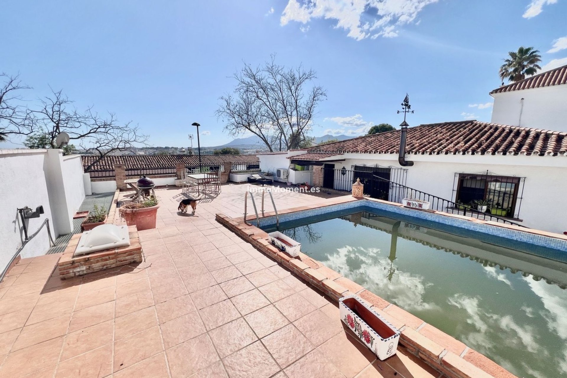 Revente - Villa individuelle - Marbella - Nueva Andalucía