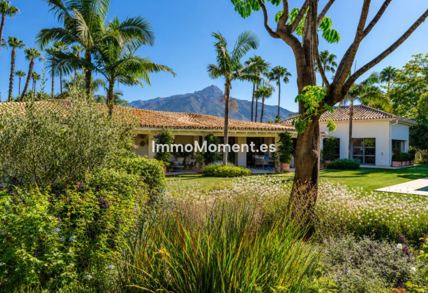 Revente - Villa individuelle - Marbella - Nueva Andalucía