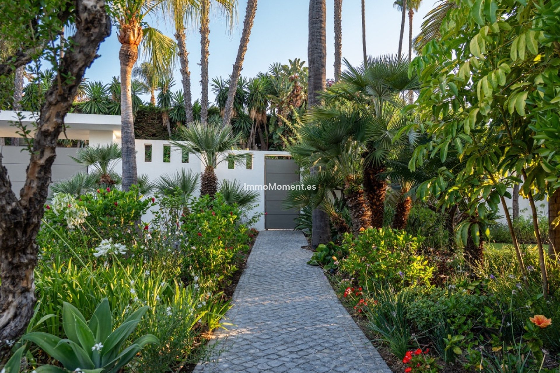 Revente - Villa individuelle - Marbella - Nueva Andalucía