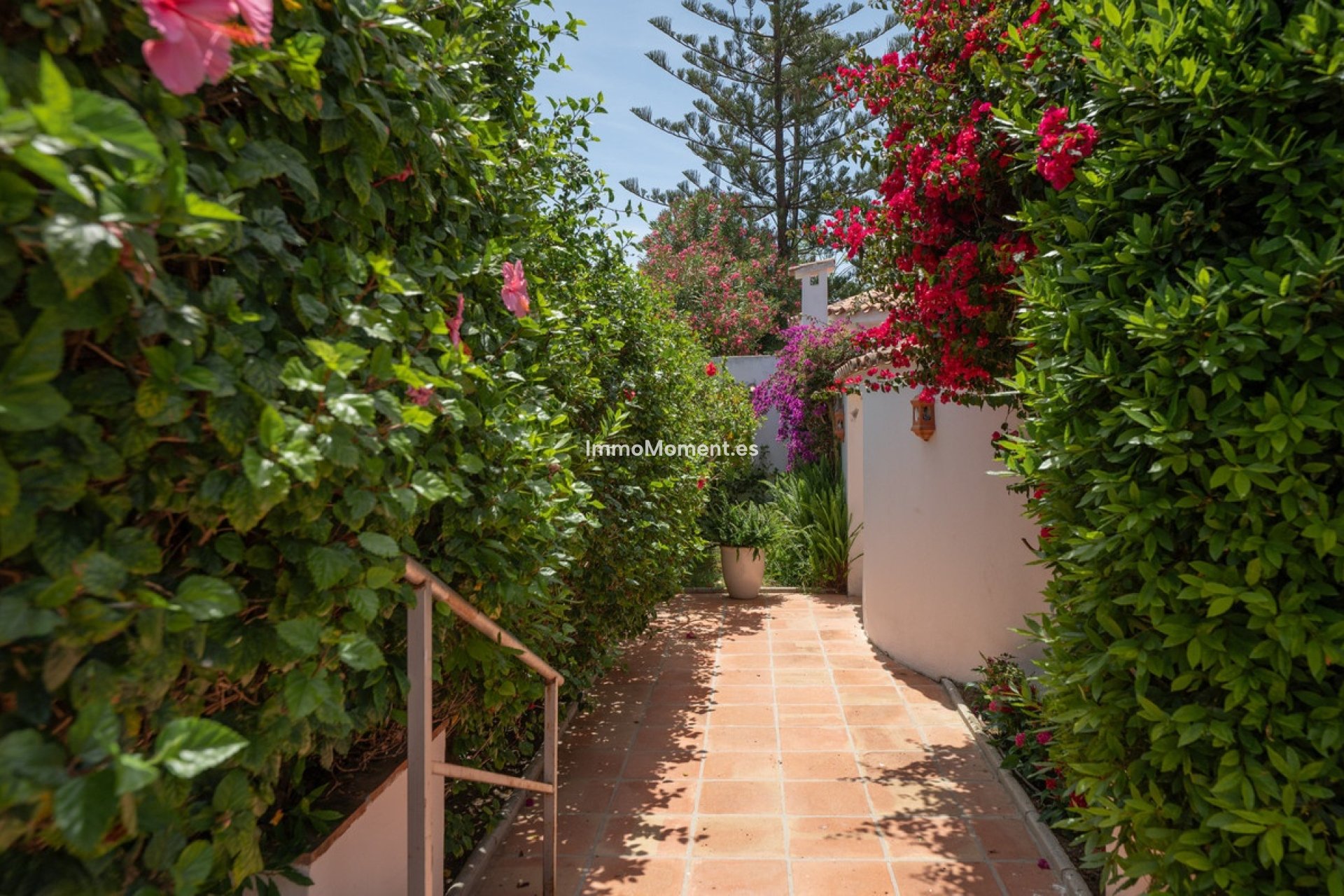 Revente - Villa individuelle - Marbella - San Pedro de Alcántara