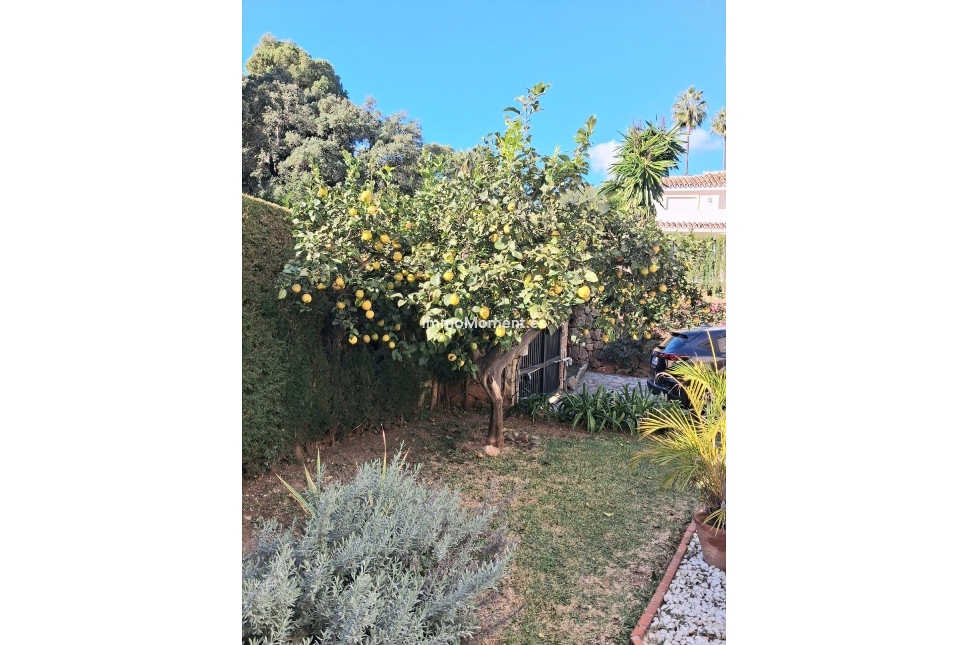 Revente - Villa individuelle - Mijas - Calahonda