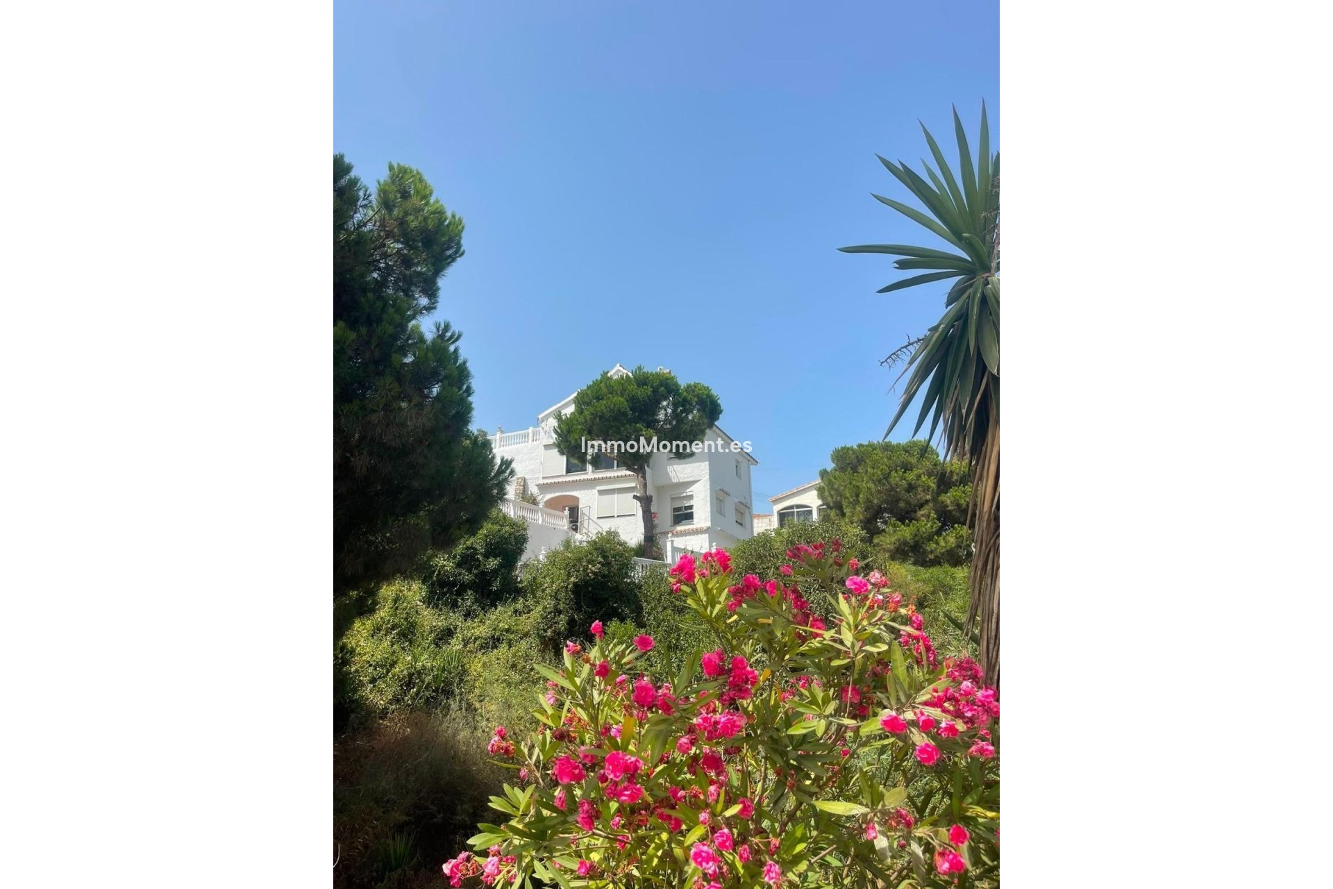 Revente - Villa individuelle - Mijas Costa - El Faro