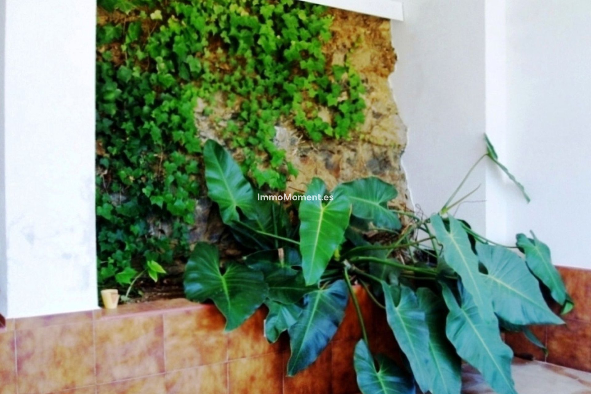 Revente - Villa individuelle - Mijas - Entrerrios