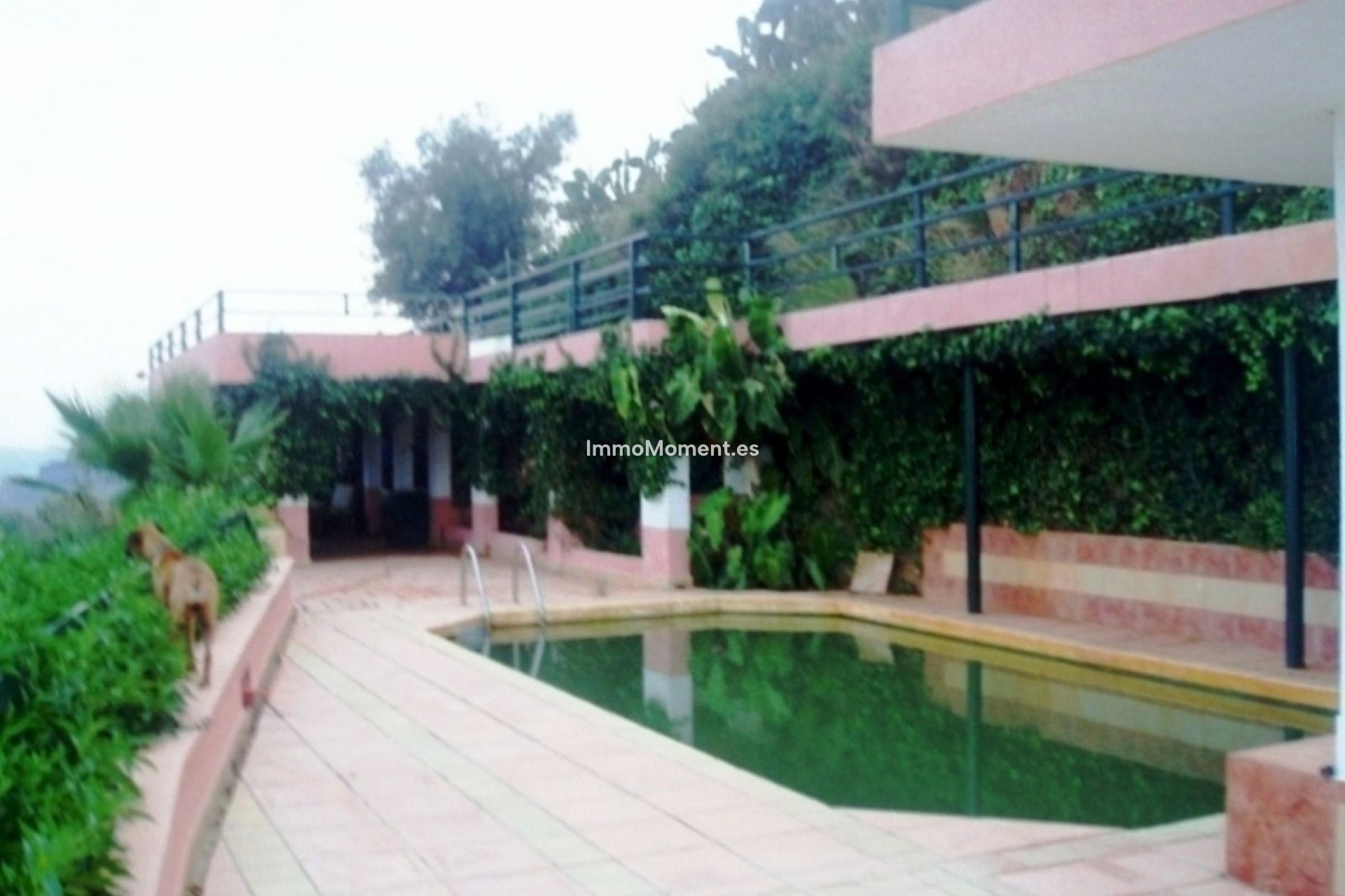 Revente - Villa individuelle - Mijas - Entrerrios