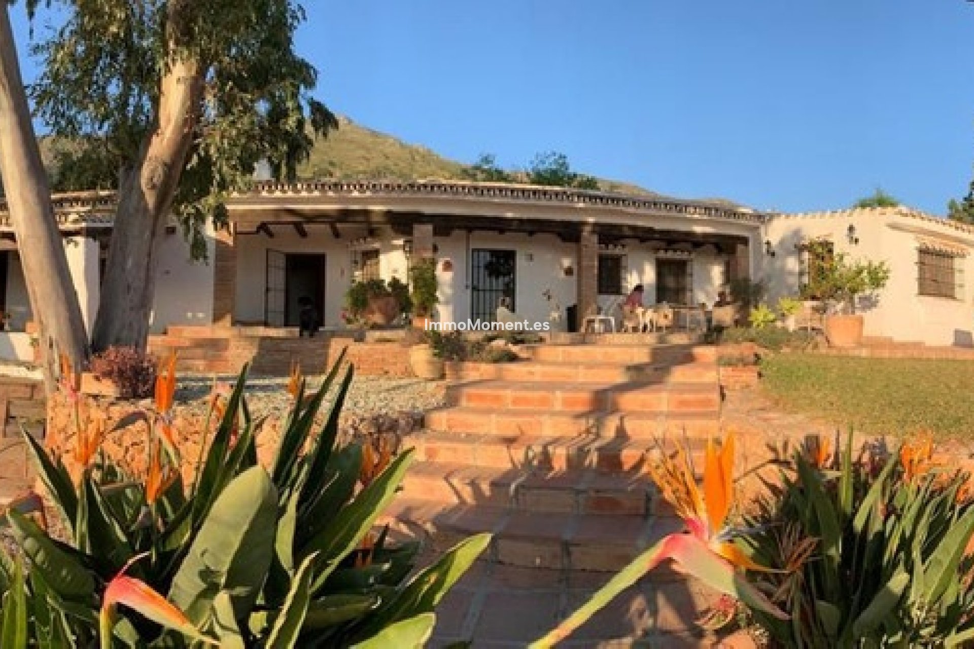 Revente - Villa individuelle - Mijas - Mijas Centro