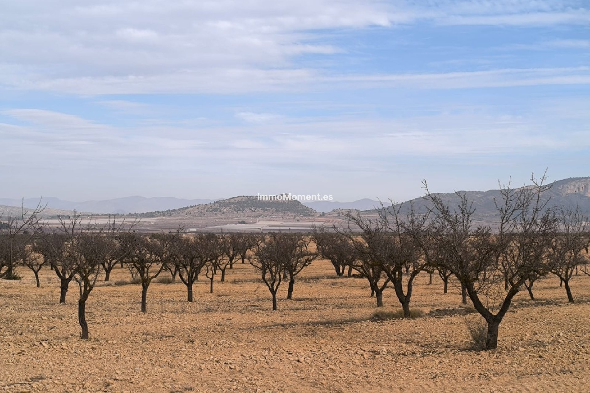 Revente - Villa individuelle - Monóvar - Monòver - Monóvar - Monòver Centro