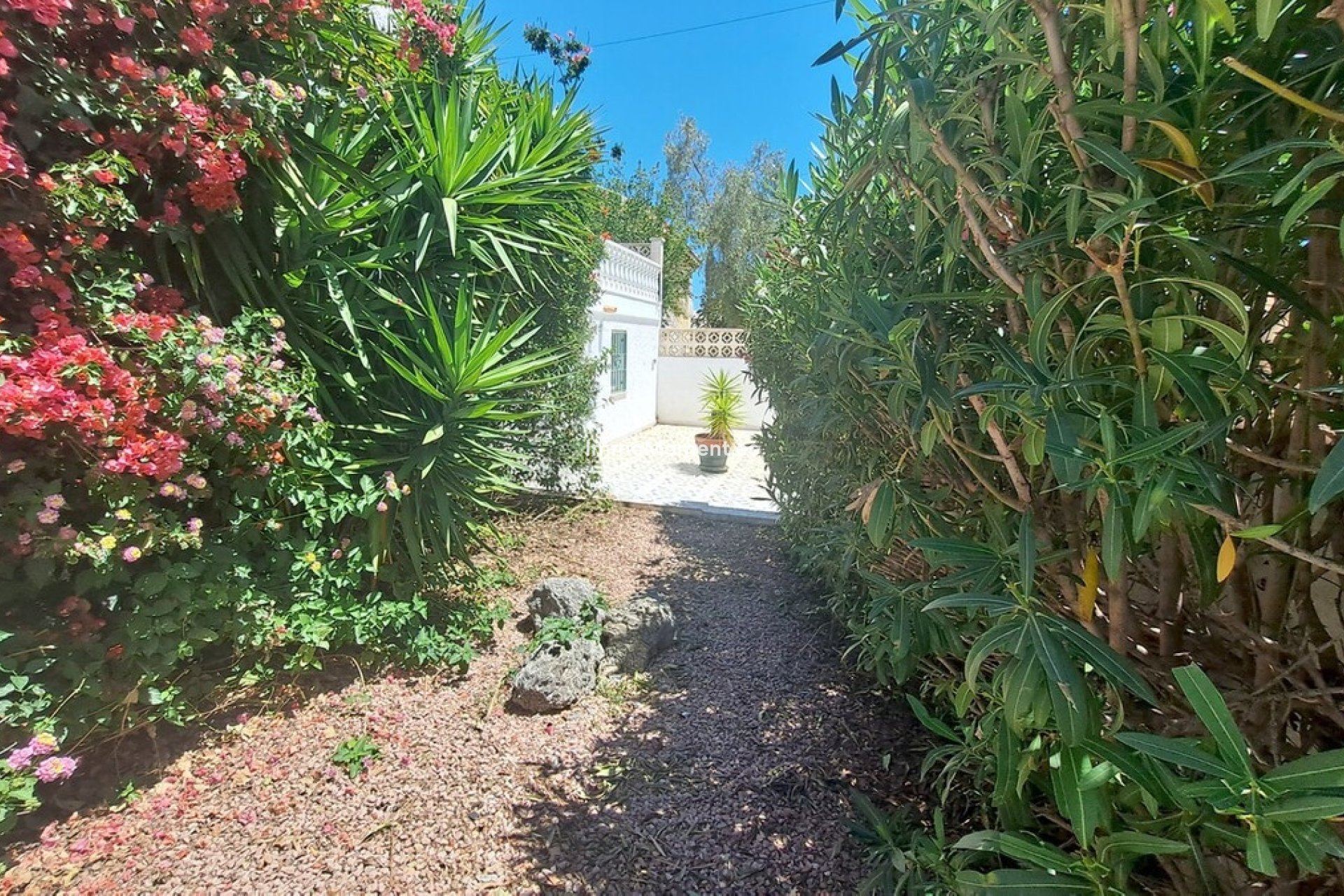 Revente - Villa individuelle - Orihuela - Blue Lagoon