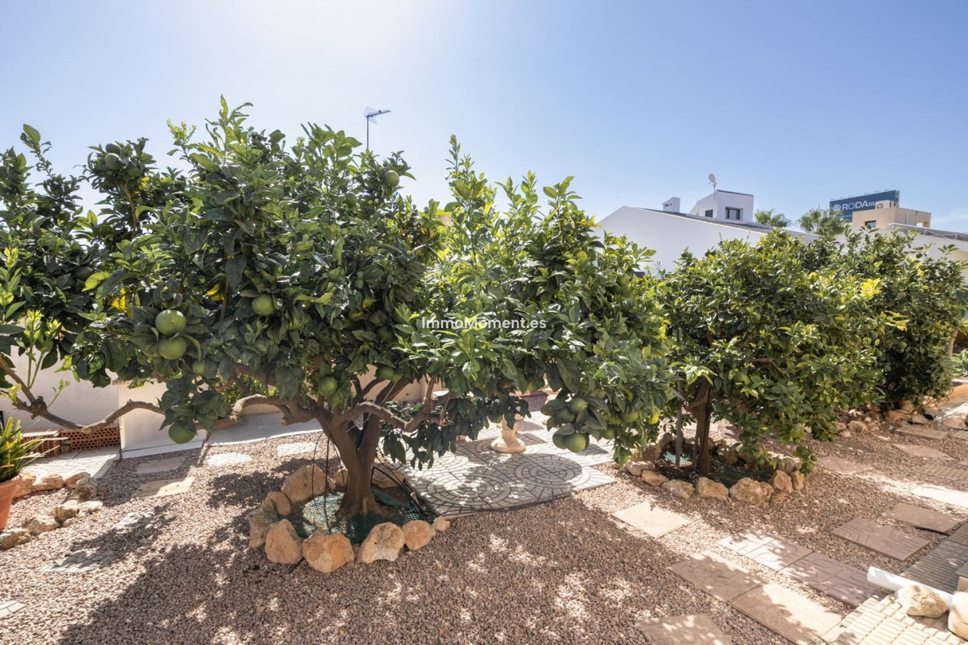 Revente - Villa individuelle - Orihuela Costa - La Regia