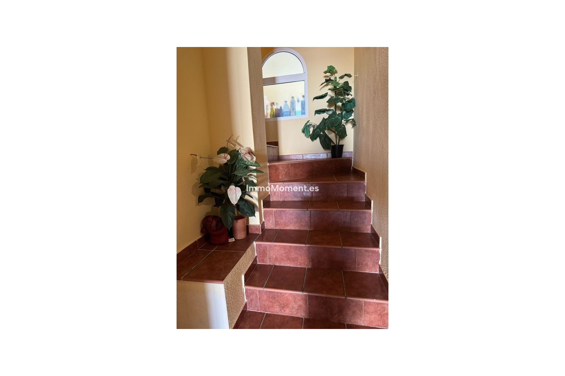 Revente - Villa individuelle - Orihuela - La Zenia