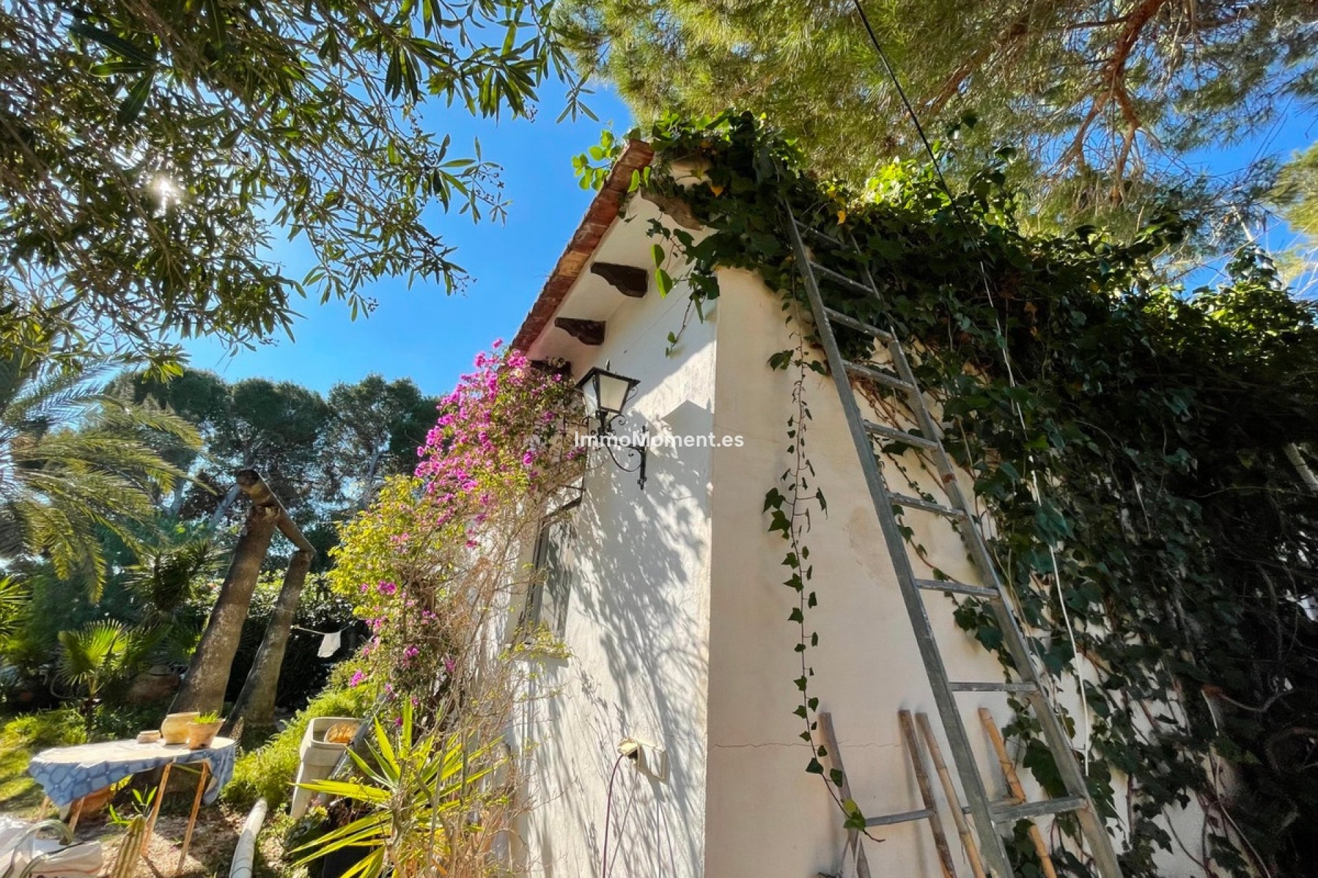 Revente - Villa individuelle - Orihuela - Lomas de Cabo Roig
