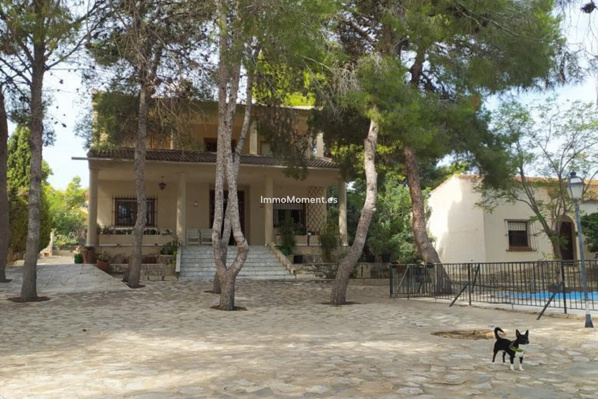 Revente - Villa individuelle - Orihuela - Los Balcones