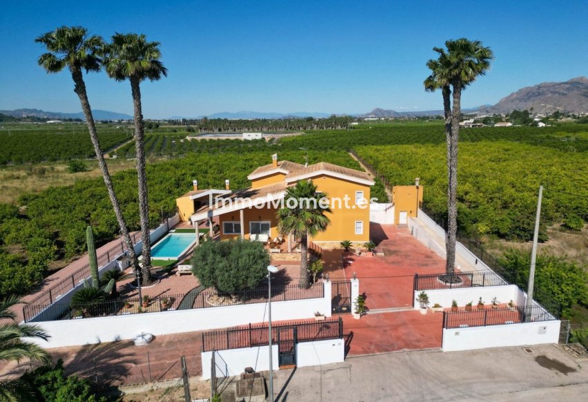 Revente - Villa individuelle - Orihuela - Orihuela Centro