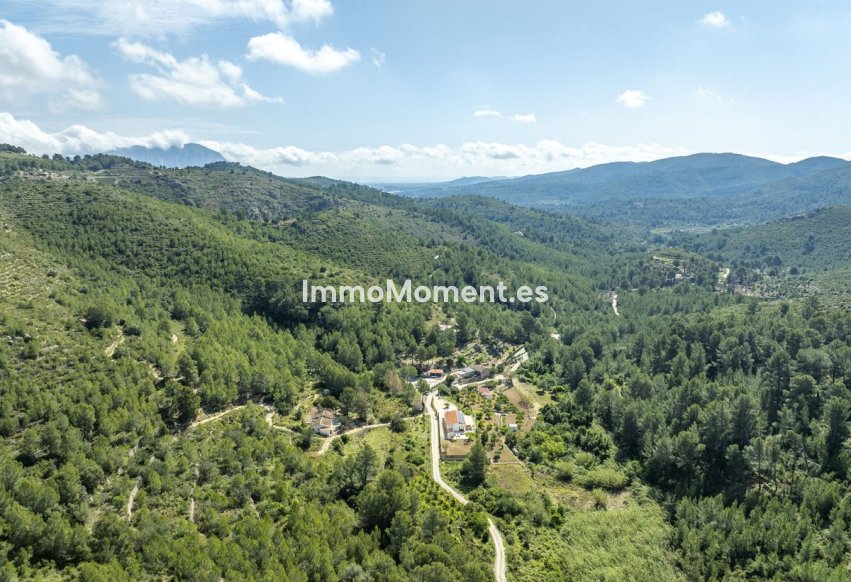 Revente - Villa individuelle - Pedreguer - Pedreguer Centro