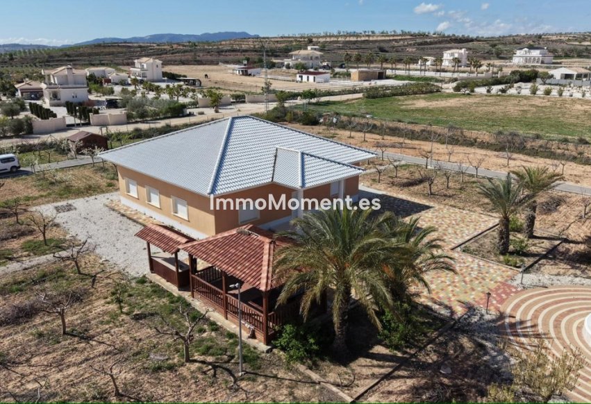 Revente - Villa individuelle - Pinoso - Pinoso Centro