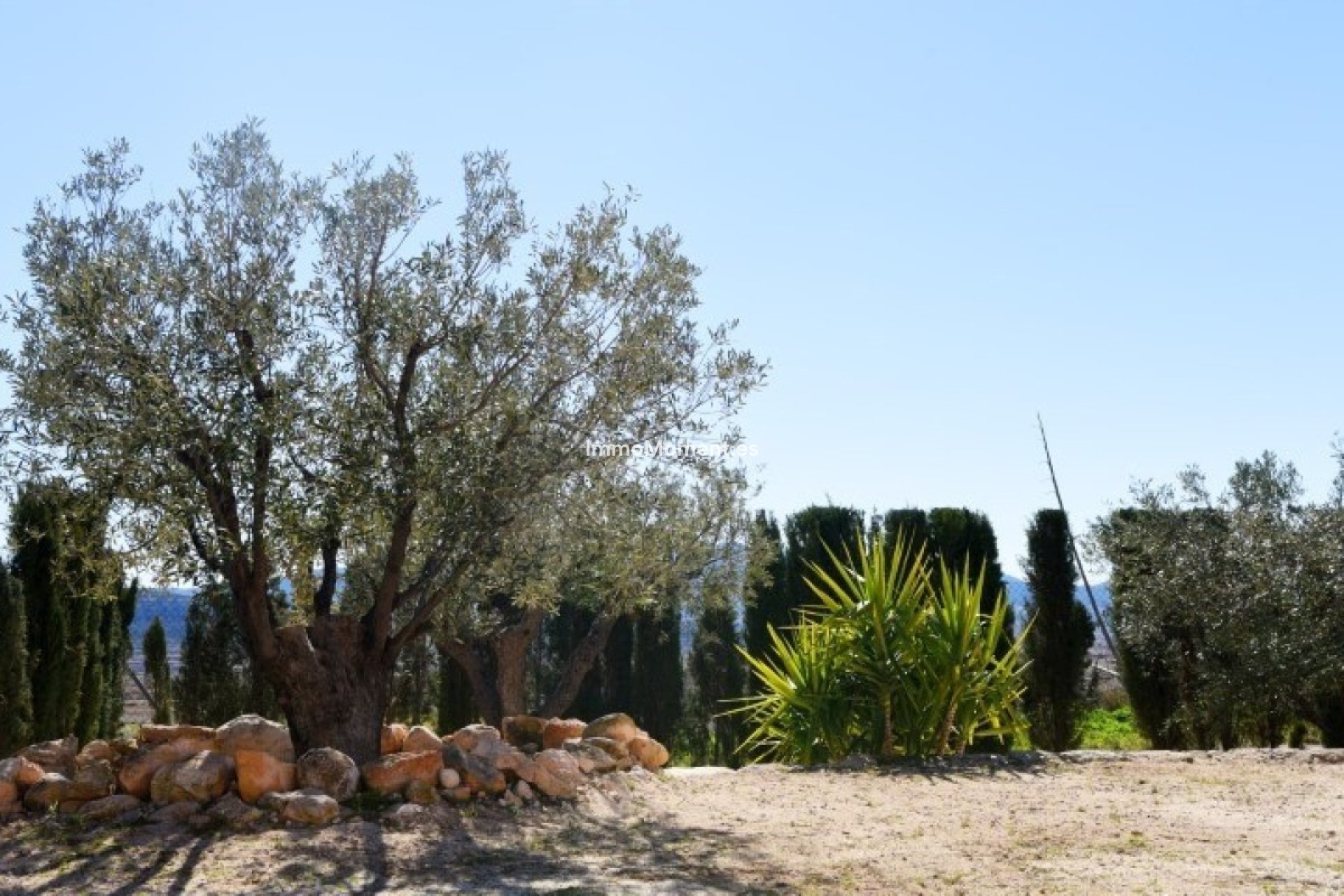 Revente - Villa individuelle - Pinoso - Pinoso Centro