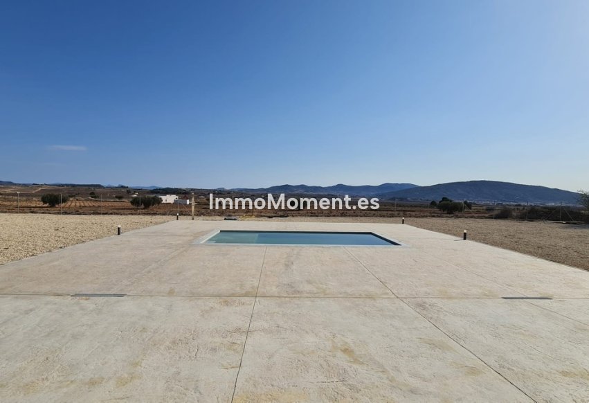 Revente - Villa individuelle - Pinoso - Pinoso Centro