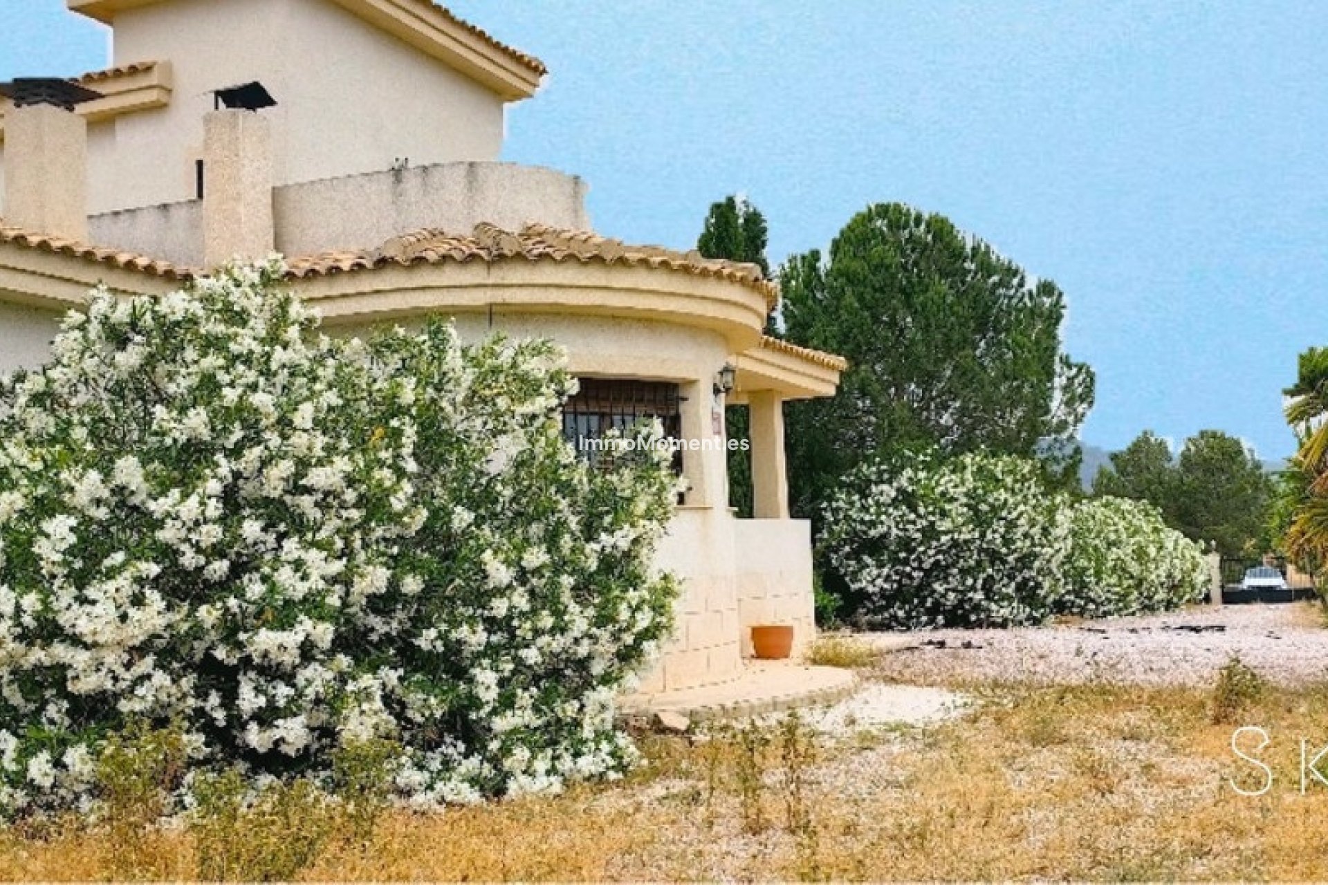 Revente - Villa individuelle - Pinoso - Pinoso Centro