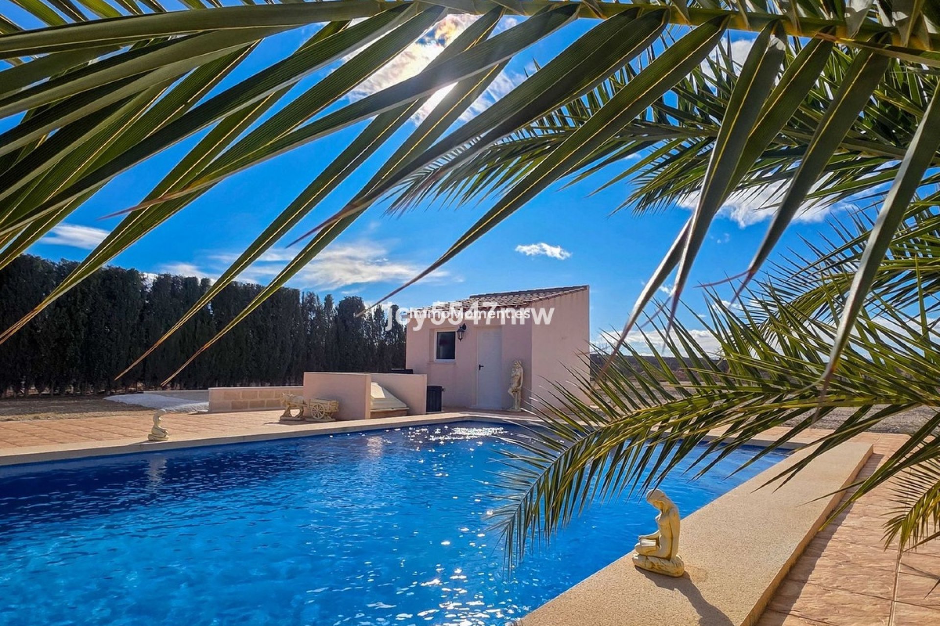 Revente - Villa individuelle - Pinoso - Pinoso Centro