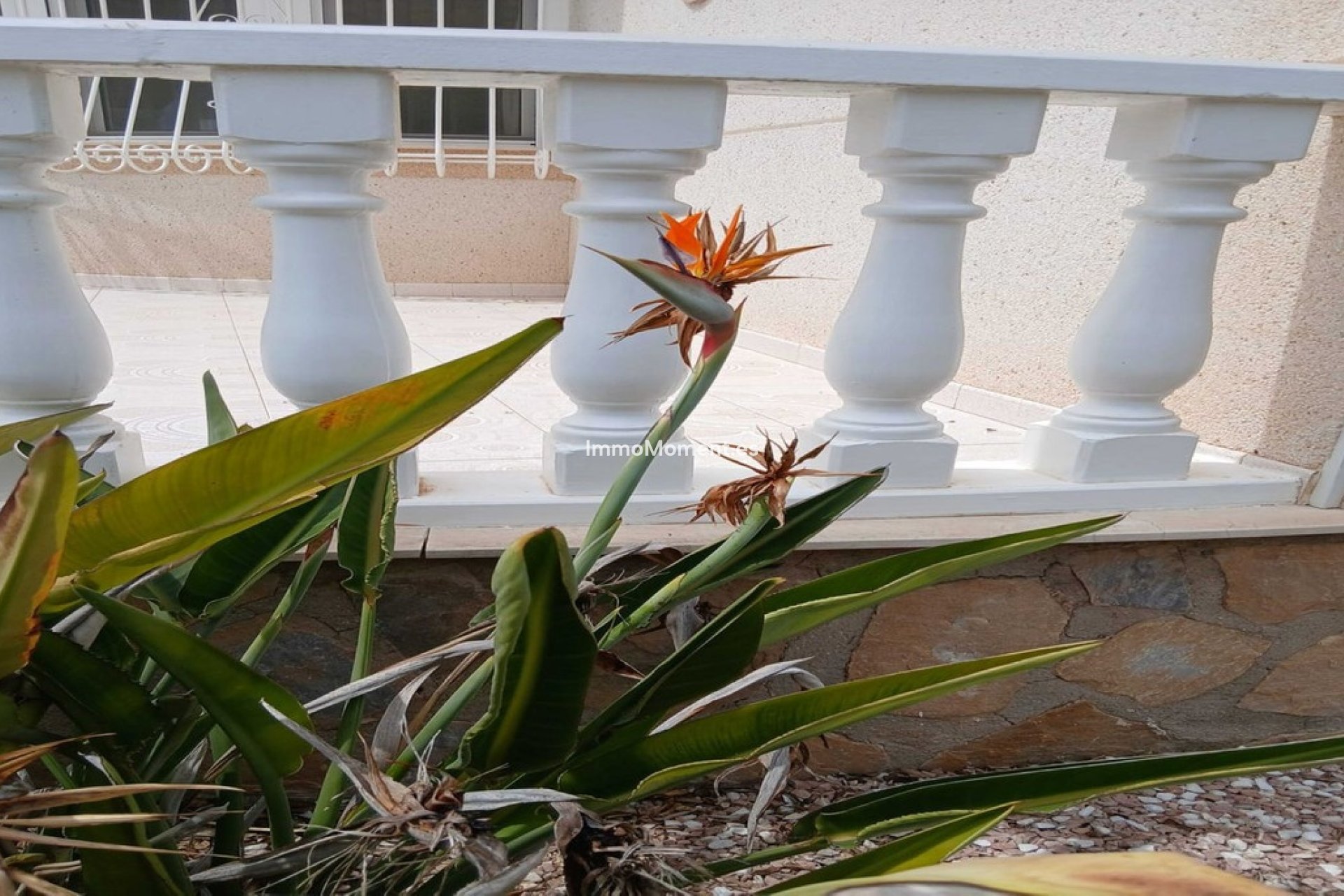 Revente - Villa individuelle - San Fulgencio - La Marina