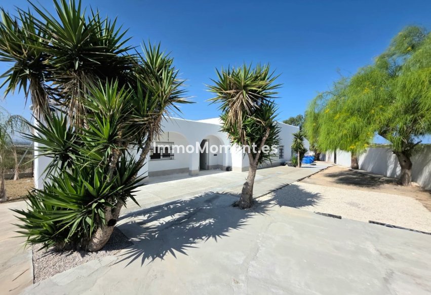 Revente - Villa individuelle - San Fulgencio - San Fulgencio Centro