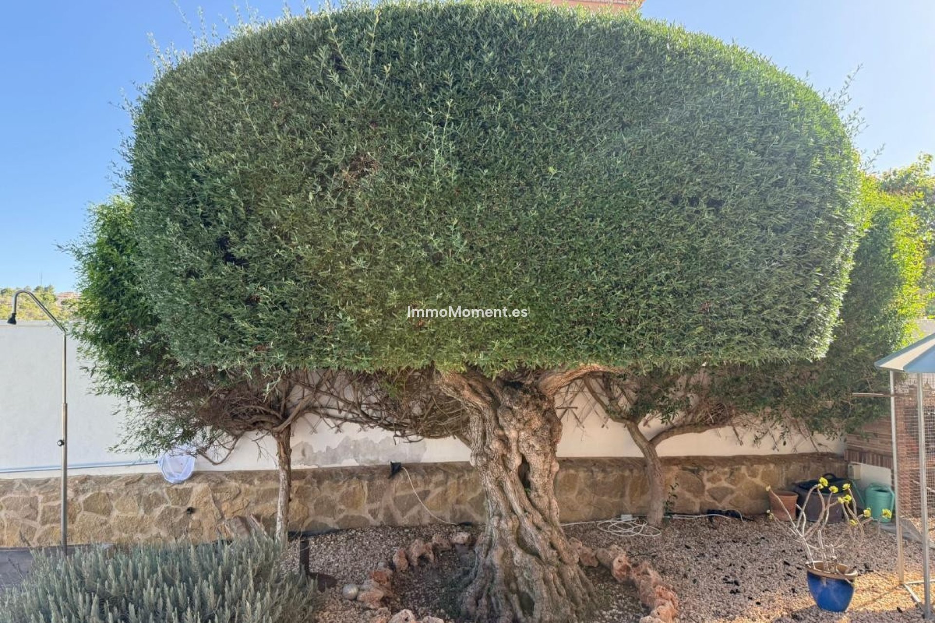 Revente - Villa individuelle - San Miguel de Salinas - San Miguel de Salinas Centro