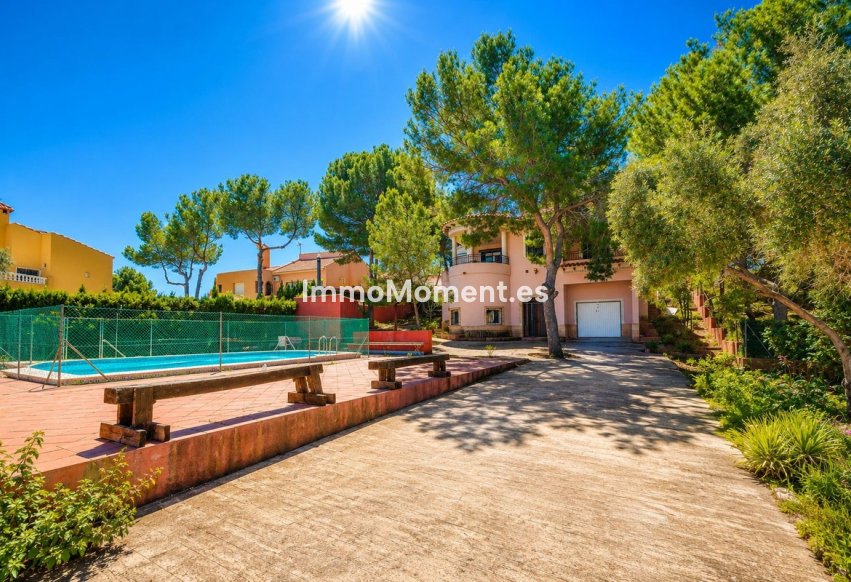 Revente - Villa individuelle - San Miguel de Salinas - San Miguel de Salinas Centro