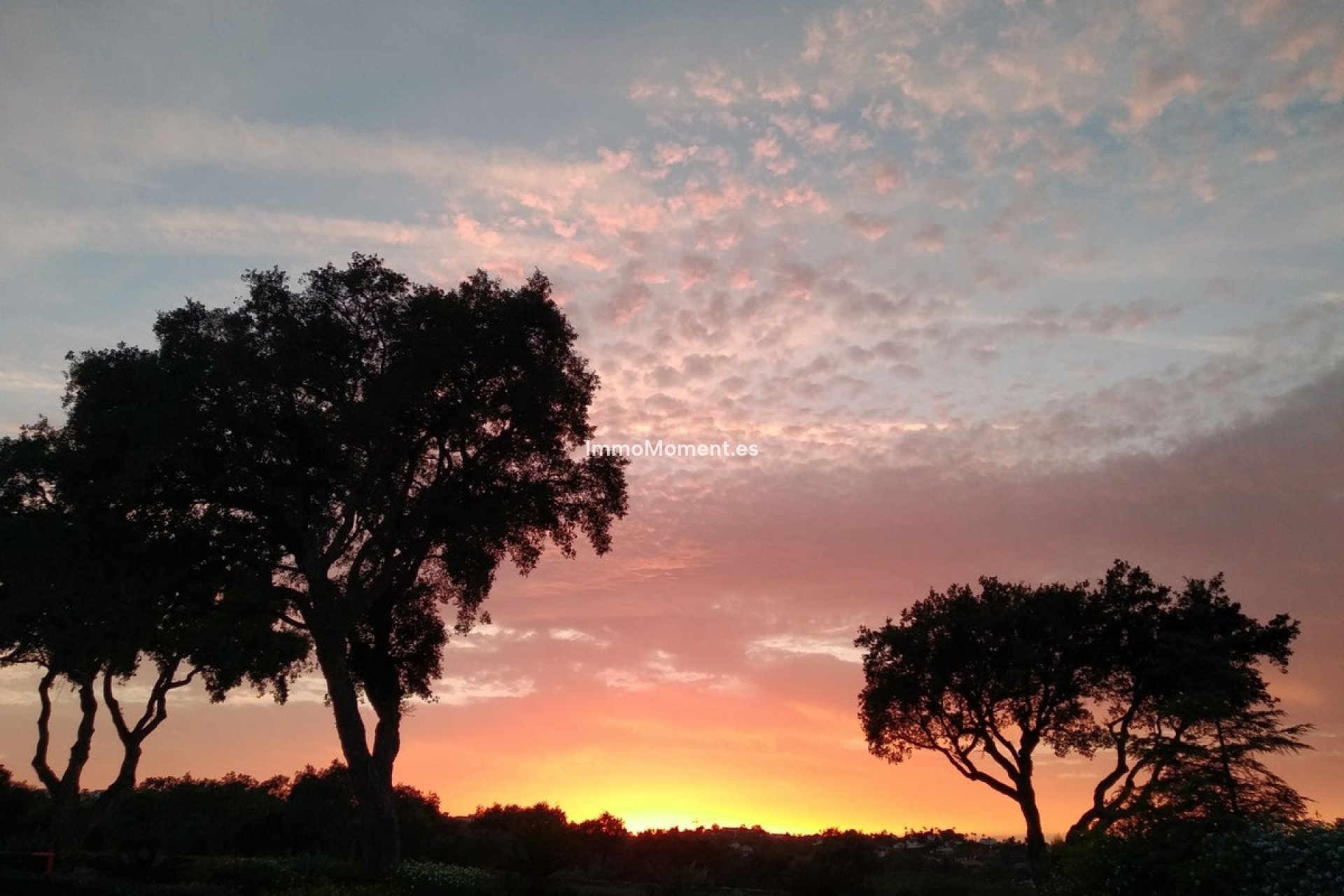 Revente - Villa individuelle - Sotogrande - San Roque Club