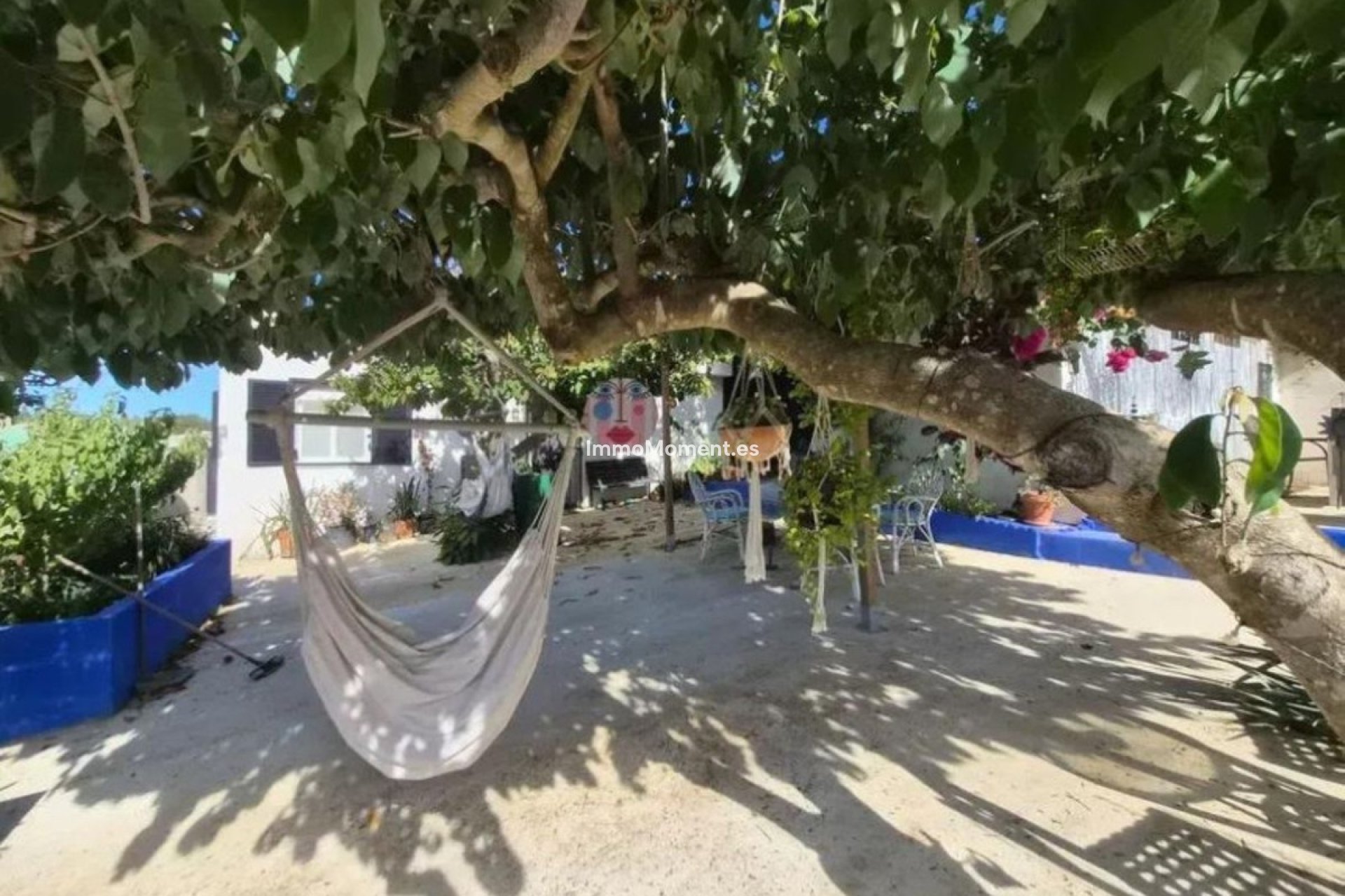 Revente - Villa individuelle - Sotogrande - San Roque