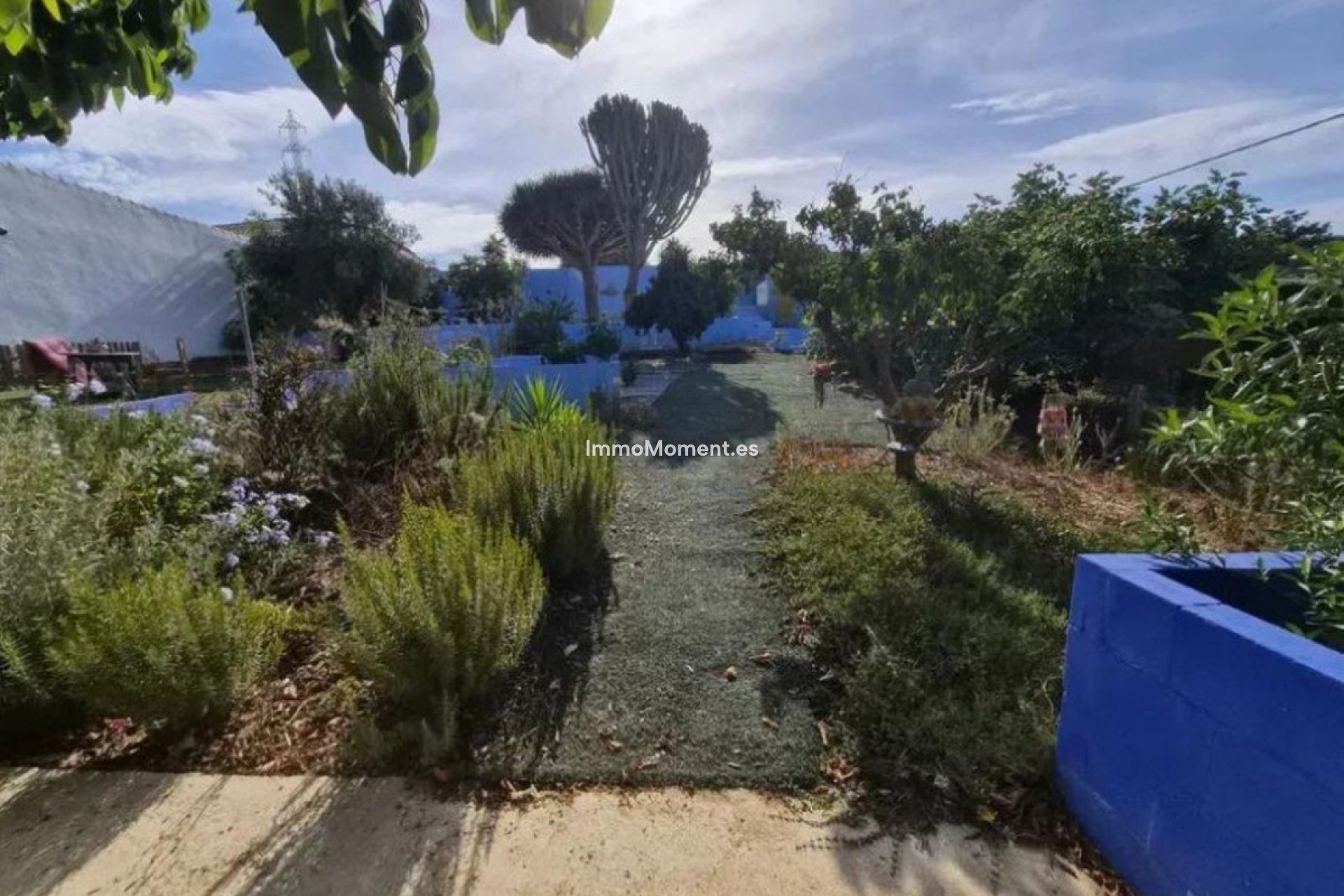 Revente - Villa individuelle - Sotogrande - San Roque