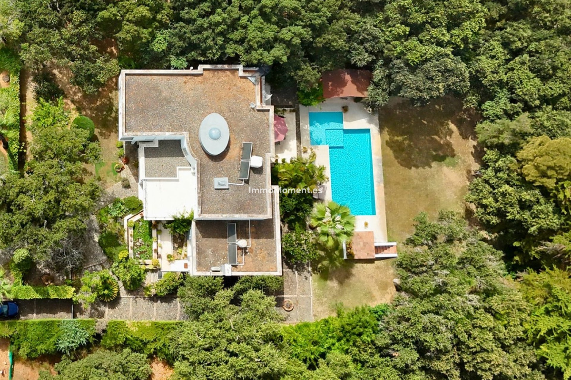 Revente - Villa individuelle - Sotogrande - Sotogrande Alto