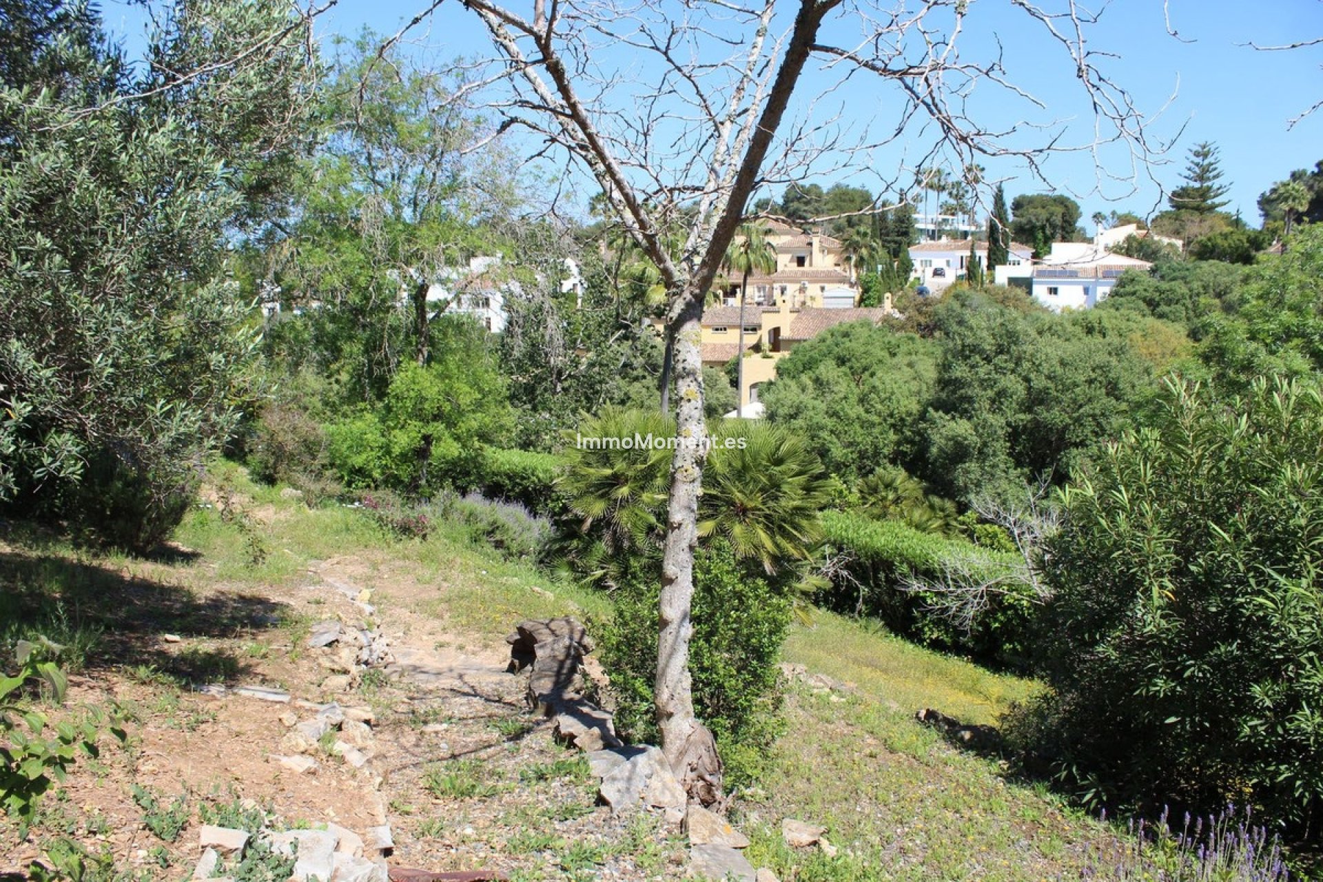 Revente - Villa individuelle - Sotogrande - Sotogrande Costa
