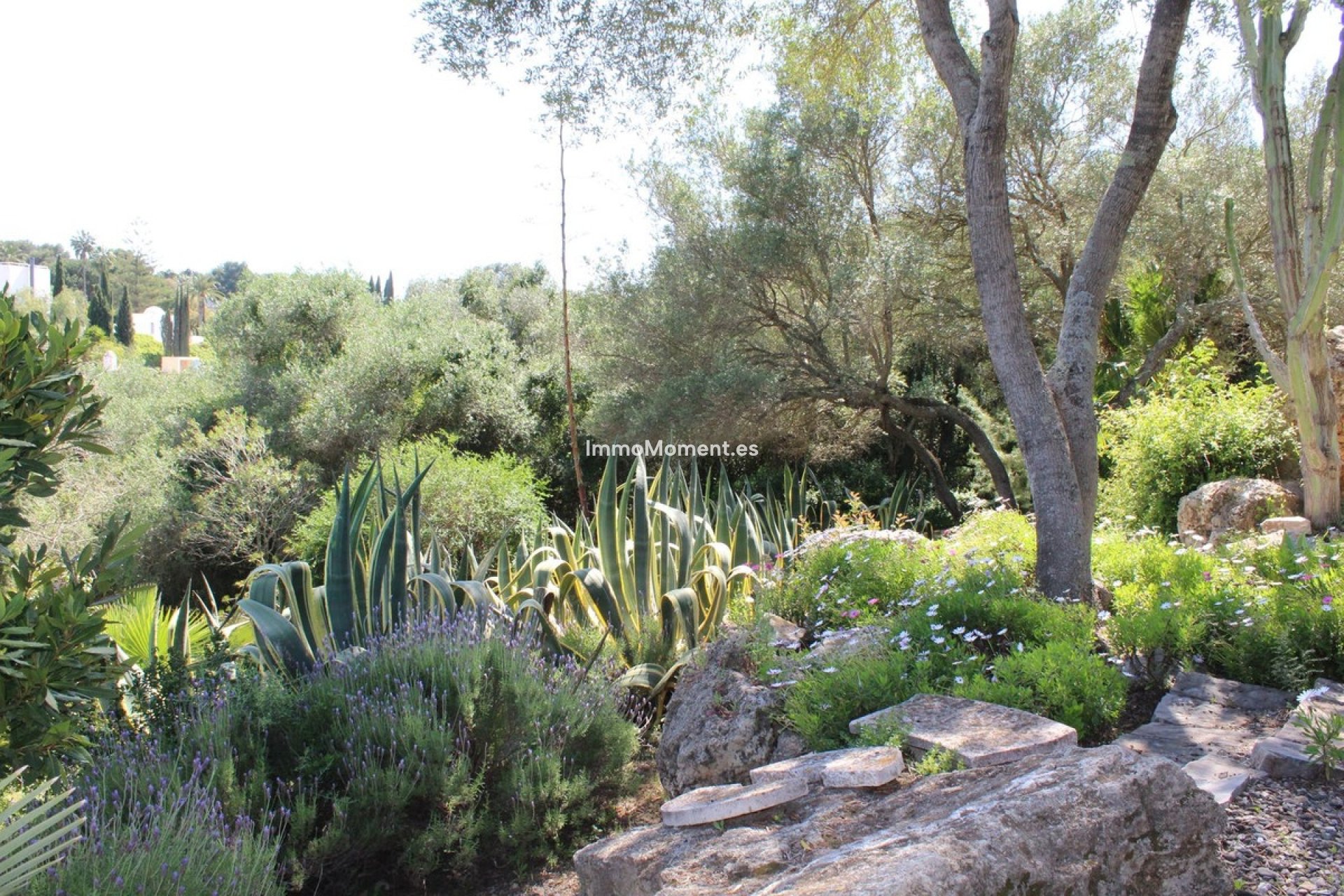Revente - Villa individuelle - Sotogrande - Sotogrande Costa