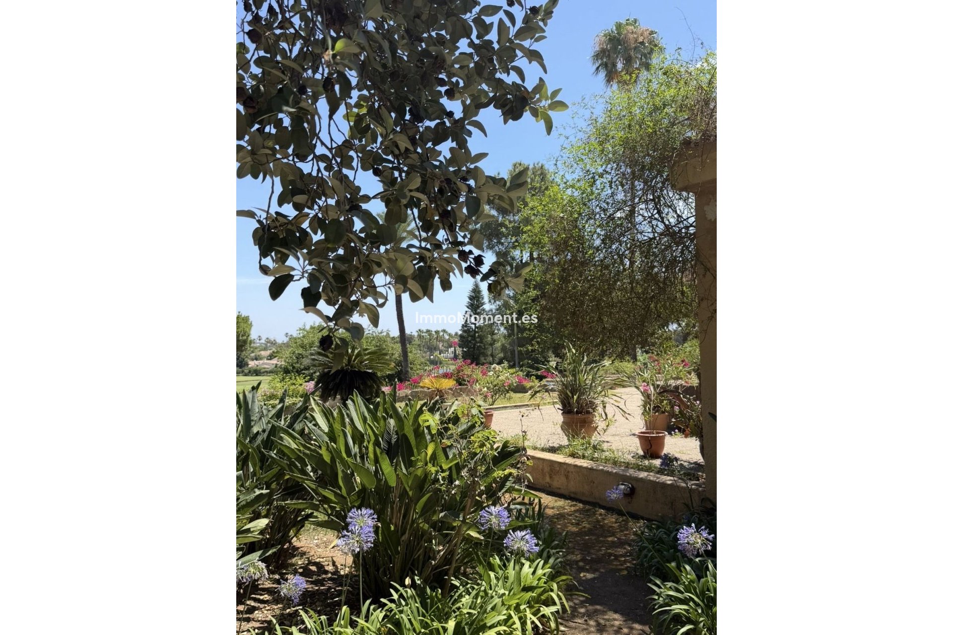 Revente - Villa individuelle - Sotogrande - Sotogrande Costa