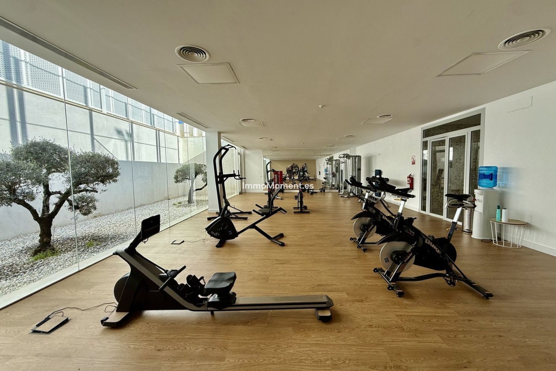 Revente - Villa individuelle - Sotogrande