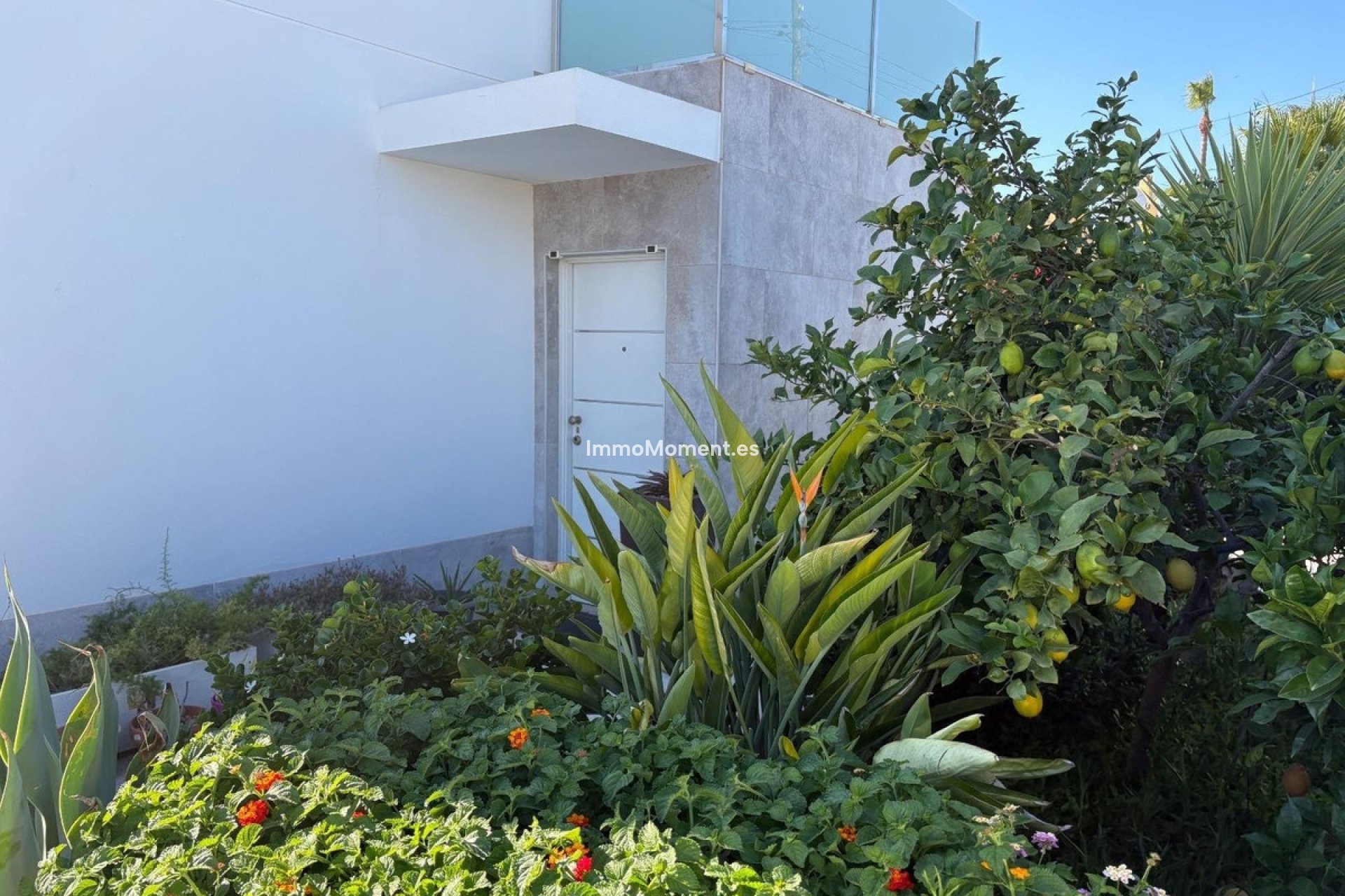 Revente - Villa individuelle - Torrevieja - La Siesta