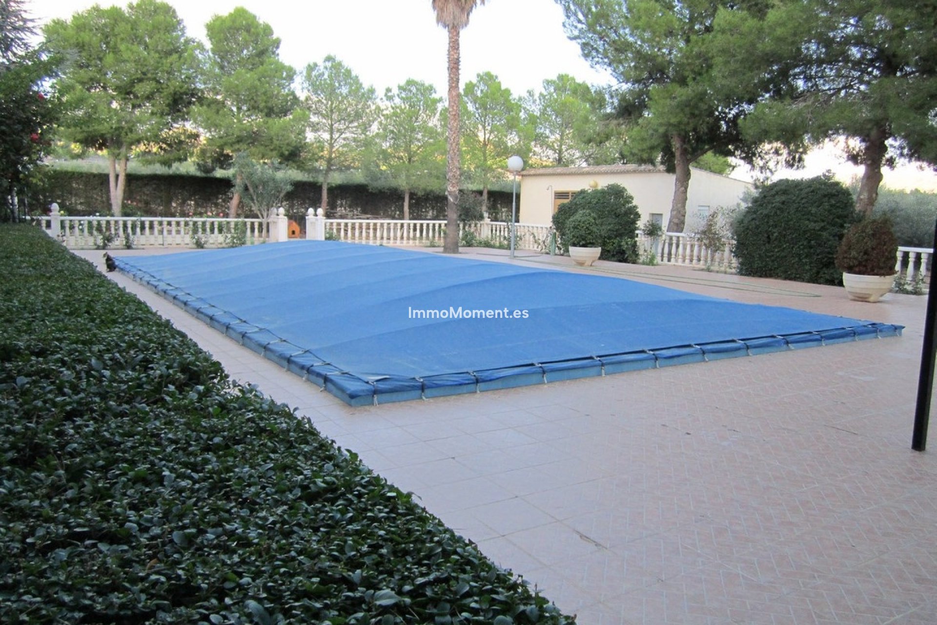Revente - Villa individuelle - Yecla - Yecla Centro
